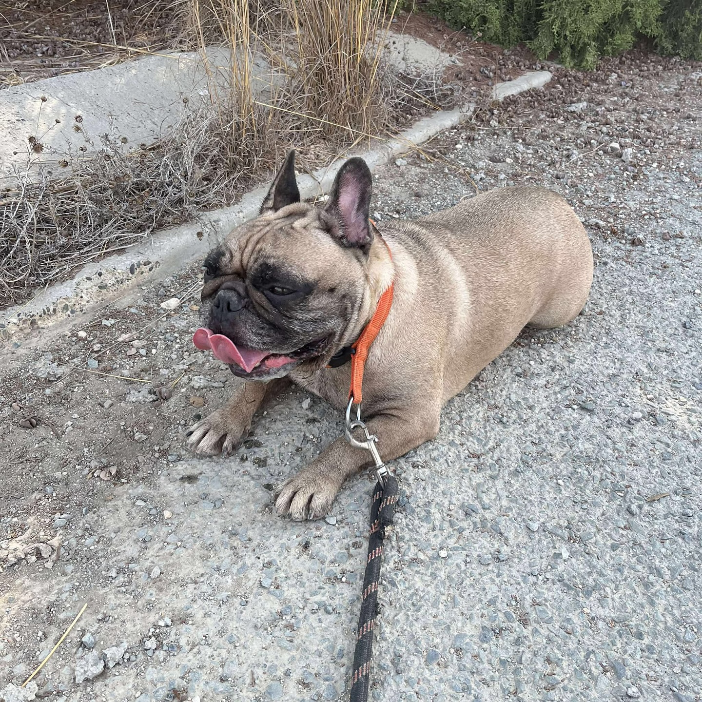 542233380_18298512046301739_1789199830577492917_n