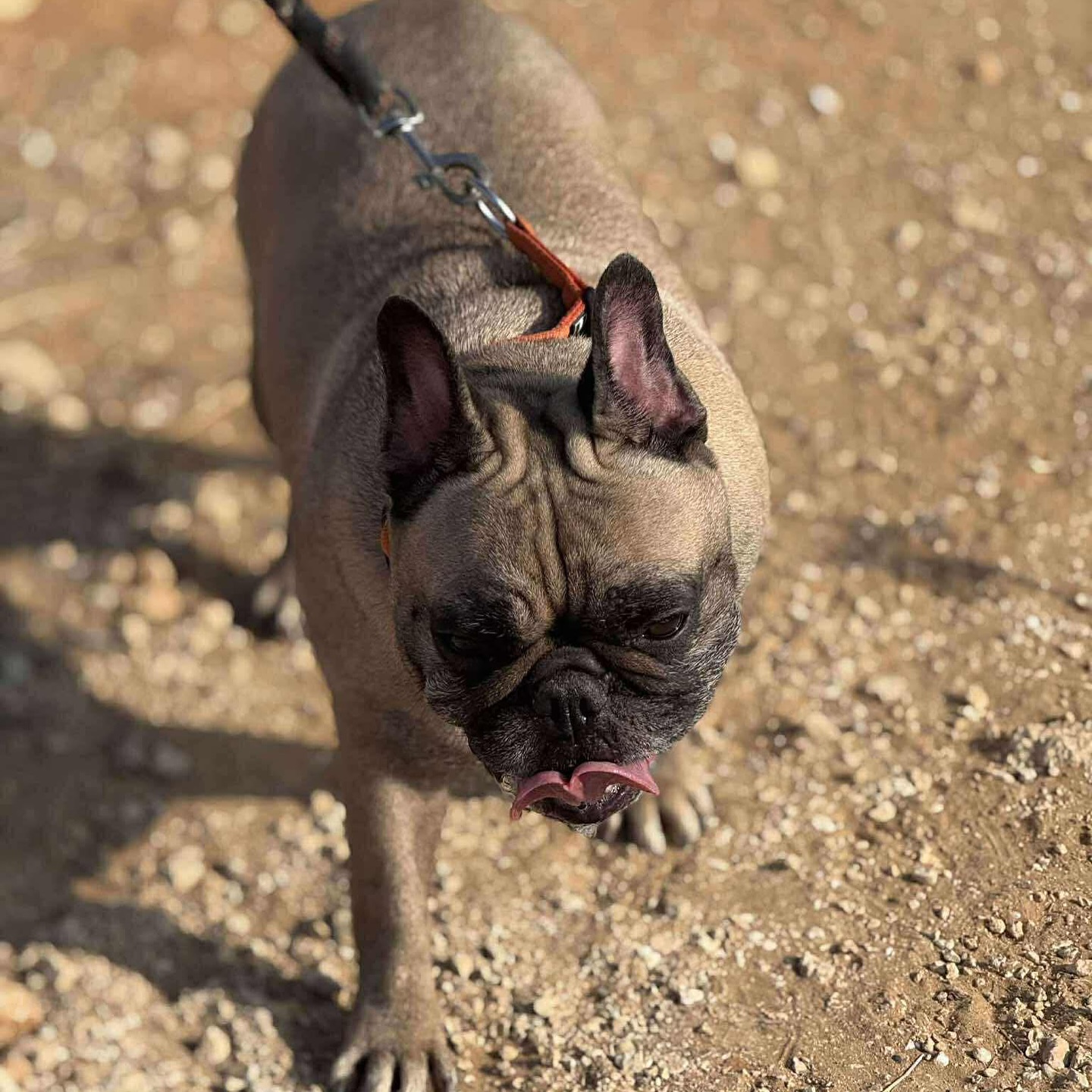 542752398_18298512040301739_3861527800124983303_n