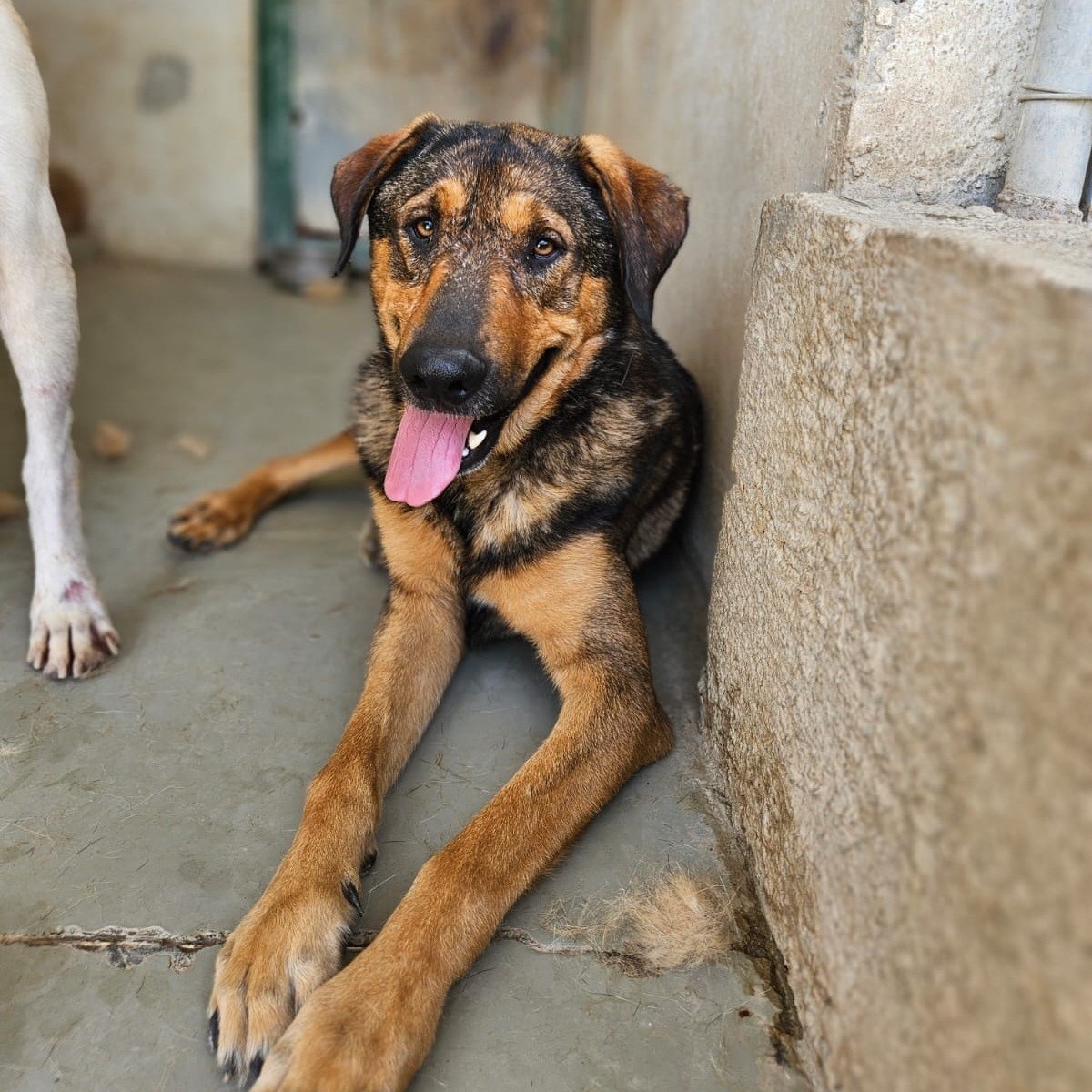 542807253_785395737336939_3304690342182860139_n