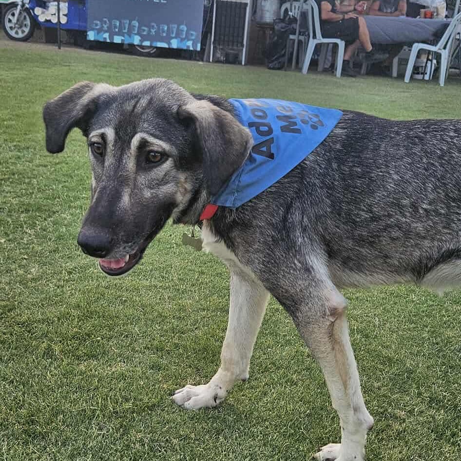 543665795_18299193214301739_2326561284608095801_n