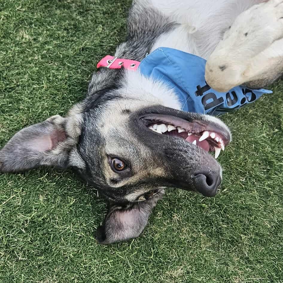 544119496_18299193178301739_1926840234083336200_n