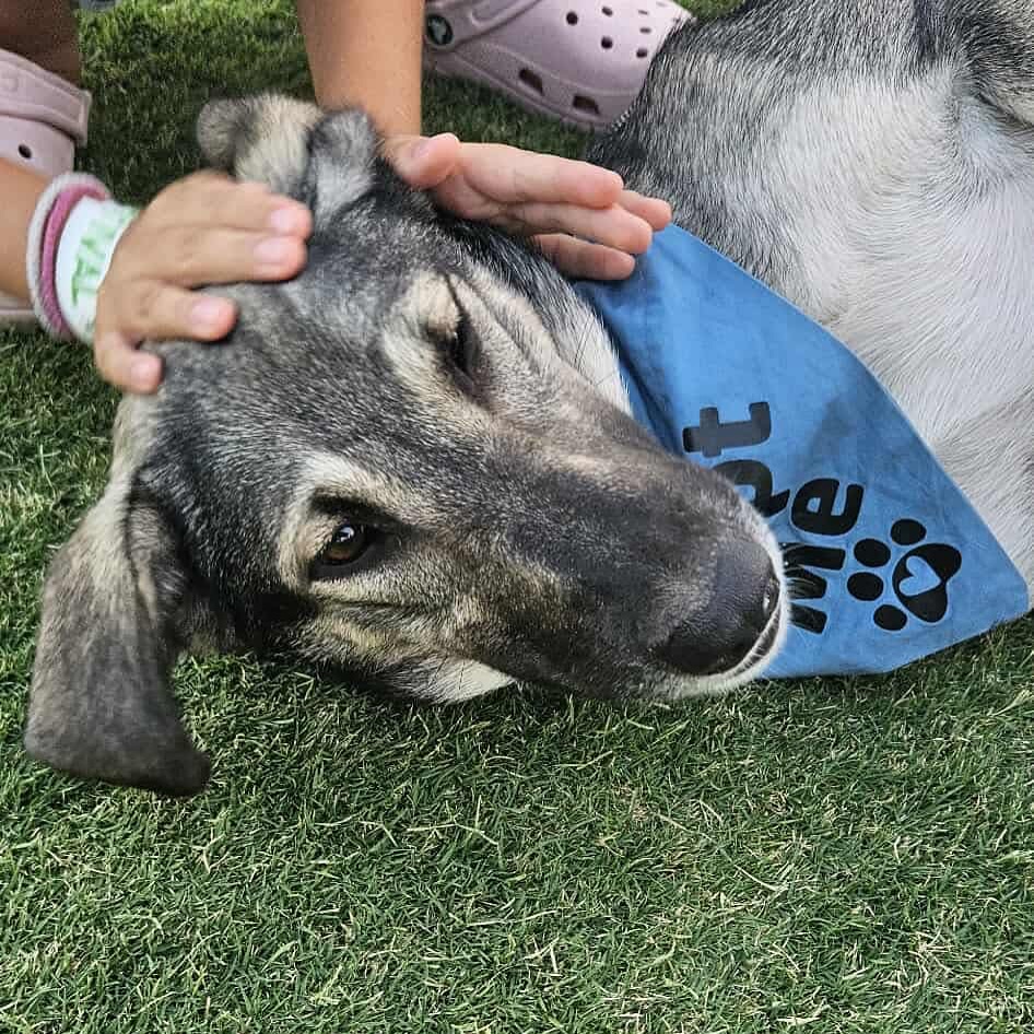 544624480_18299193211301739_905896998365577727_n