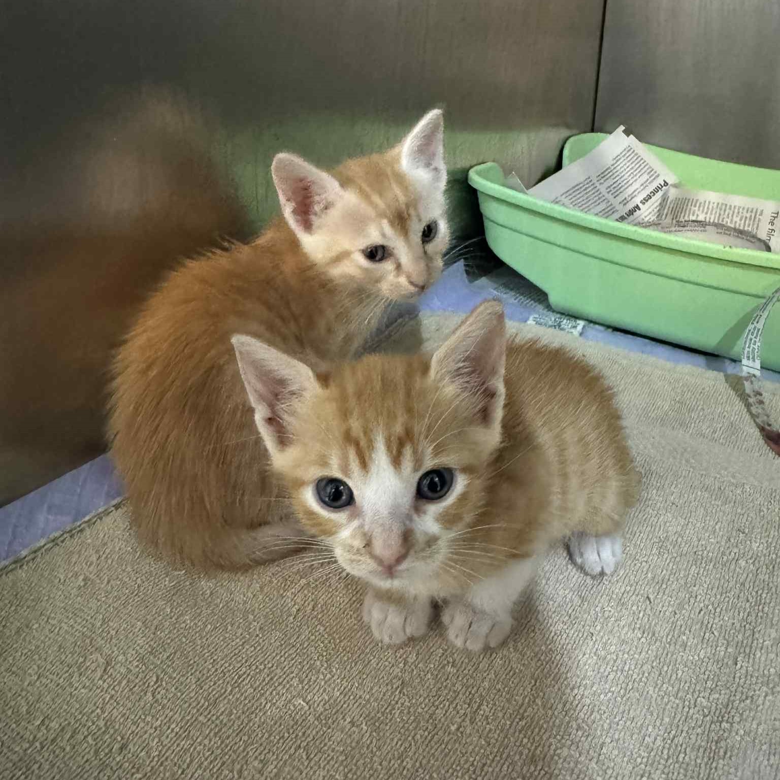 544666261_857705006579969_3222991293321411181_n