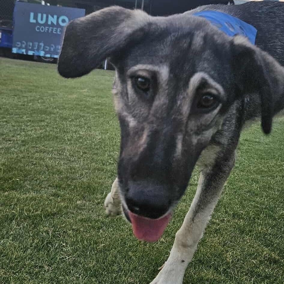 544826333_18299193196301739_2504115226320868784_n