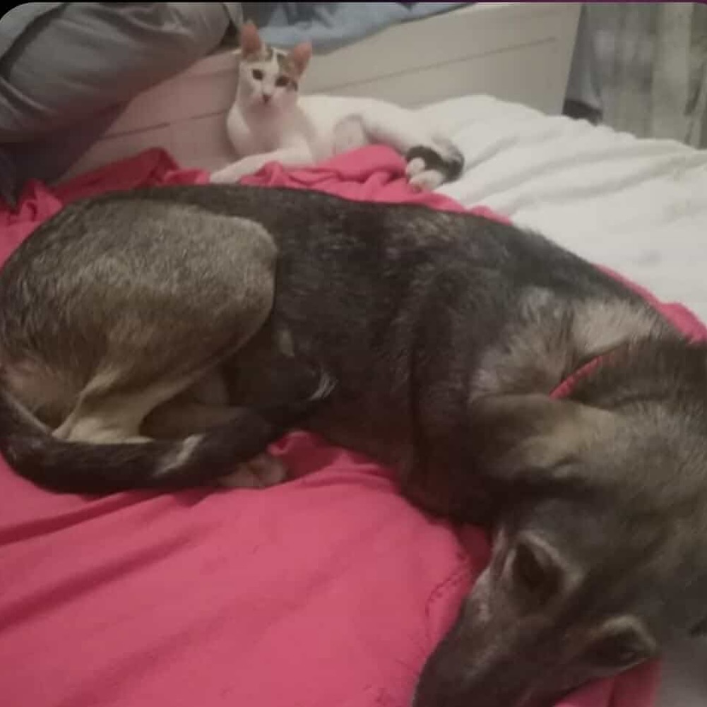 545138288_18299193193301739_3448018994304762237_n