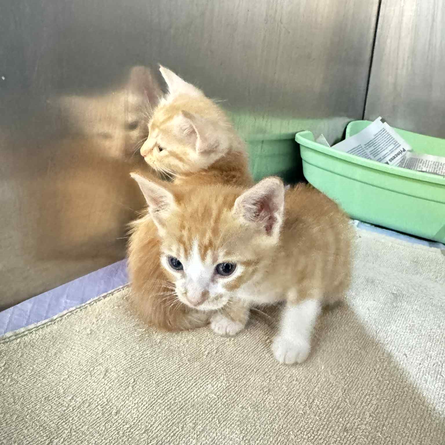 546566883_857705176579952_5202327245961646300_n