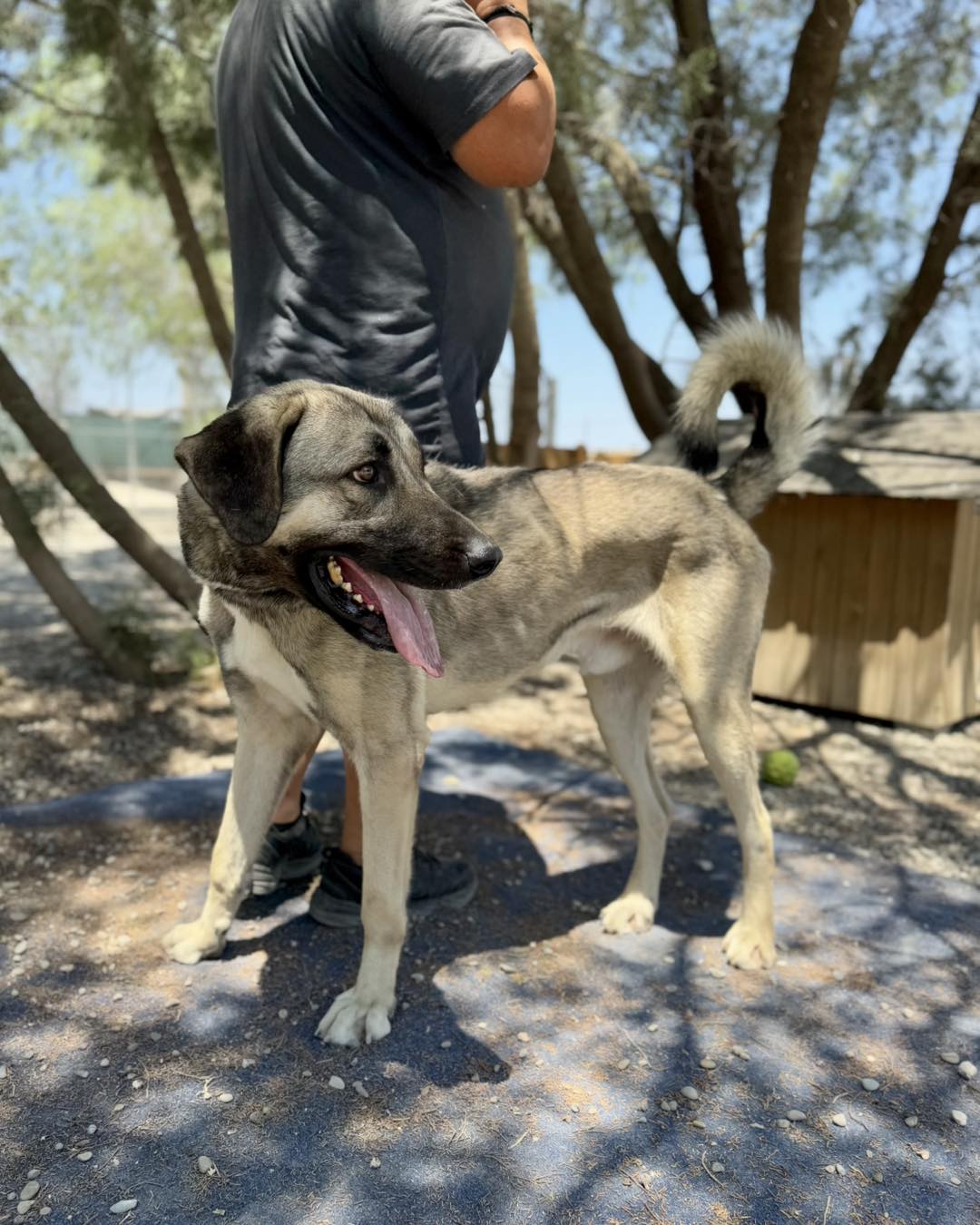 546624440_793373423205837_4333503349990239445_n