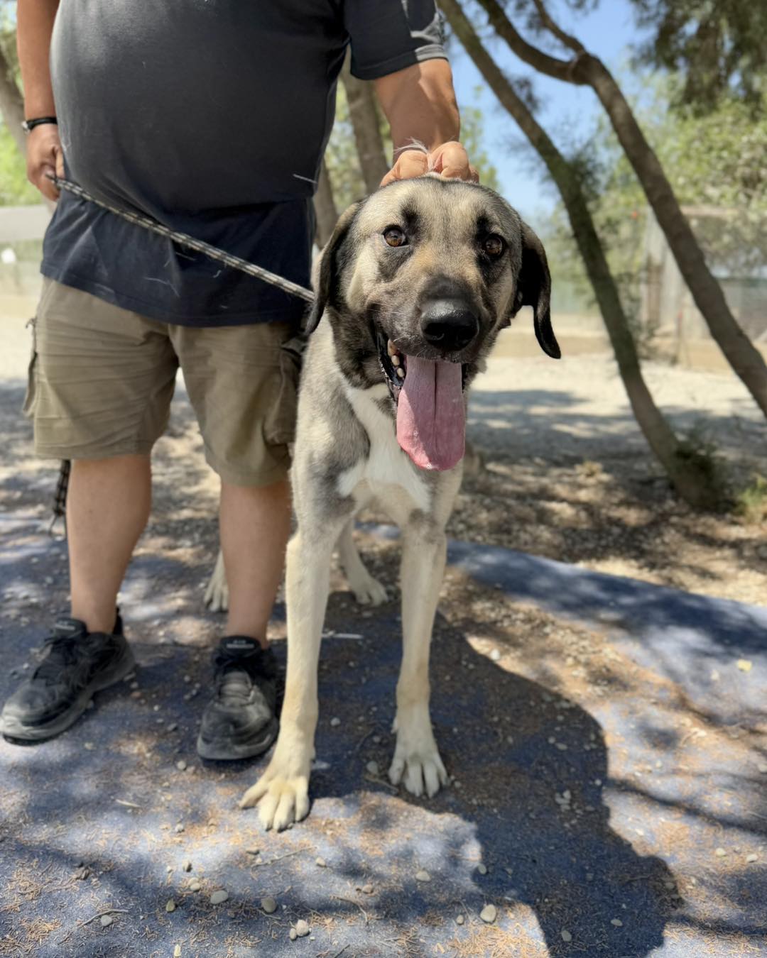 547017807_793373399872506_1787124745345219077_n