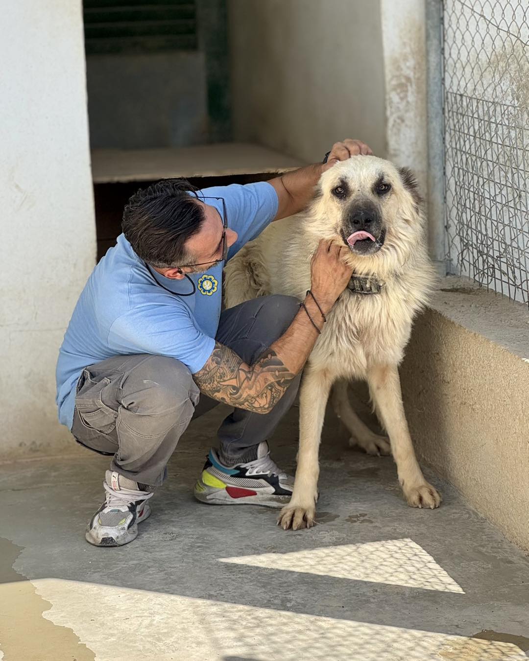 547076987_798231129386733_557164399424943176_n