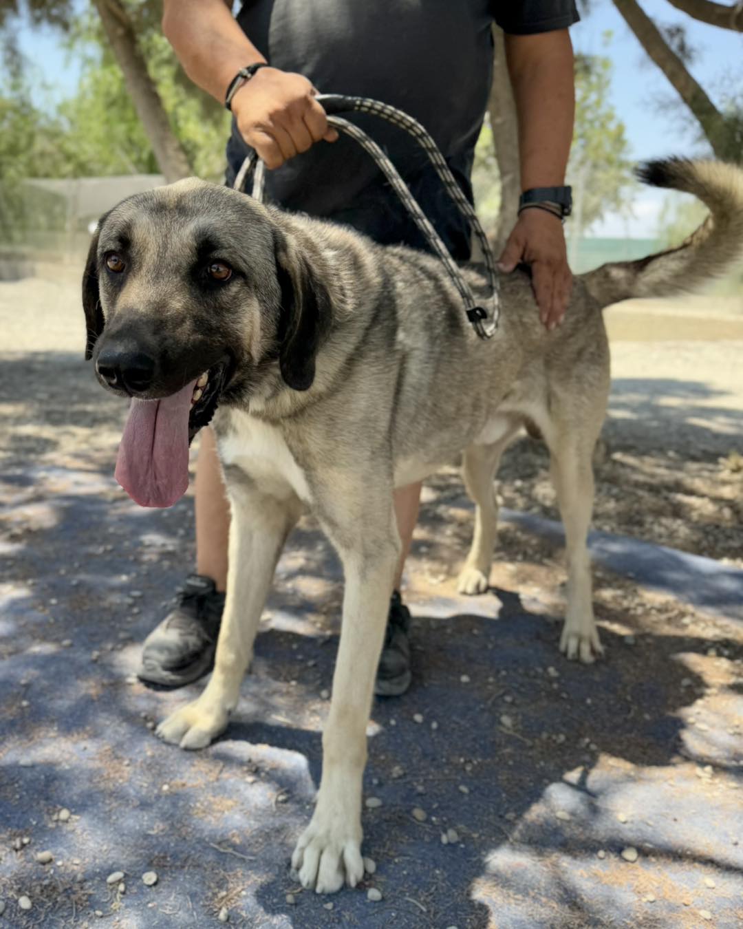 547202274_793373383205841_8306180400611625291_n