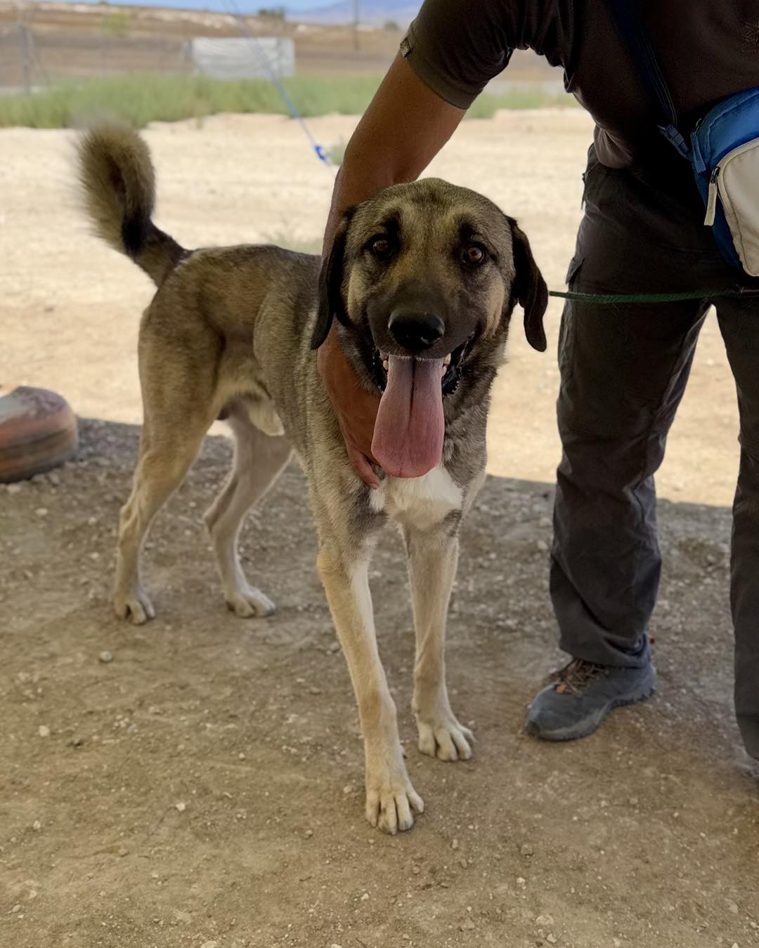 547241701_793373359872510_9166608360489746407_n