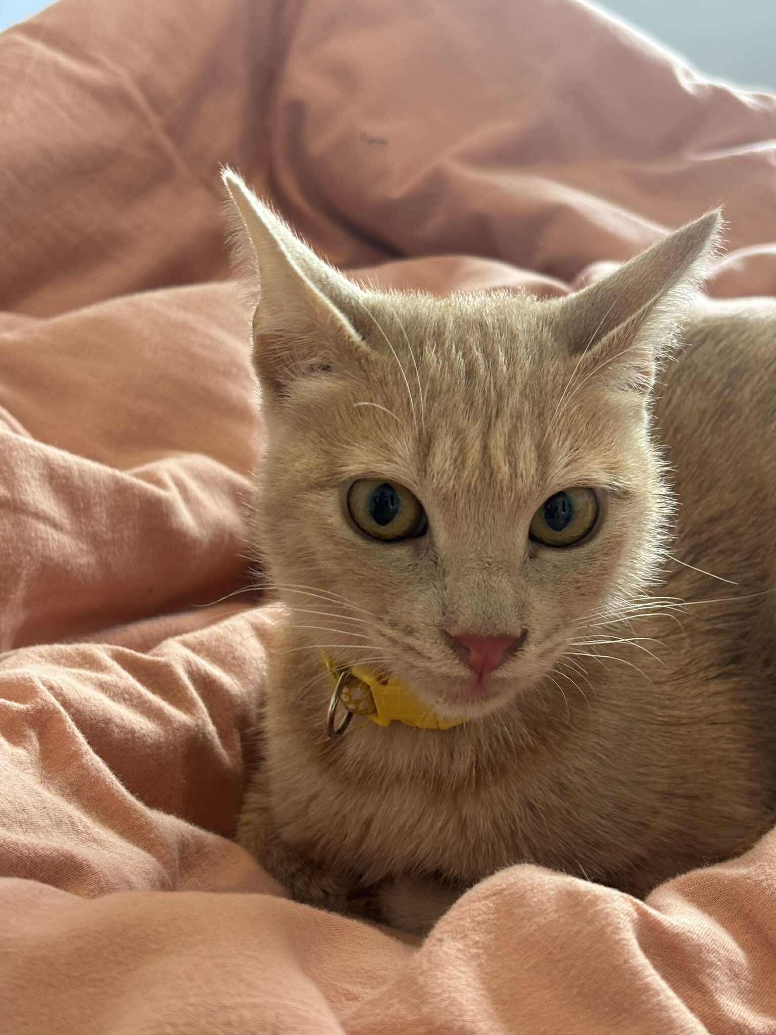 548305786_862734716076998_547557446760552874_n