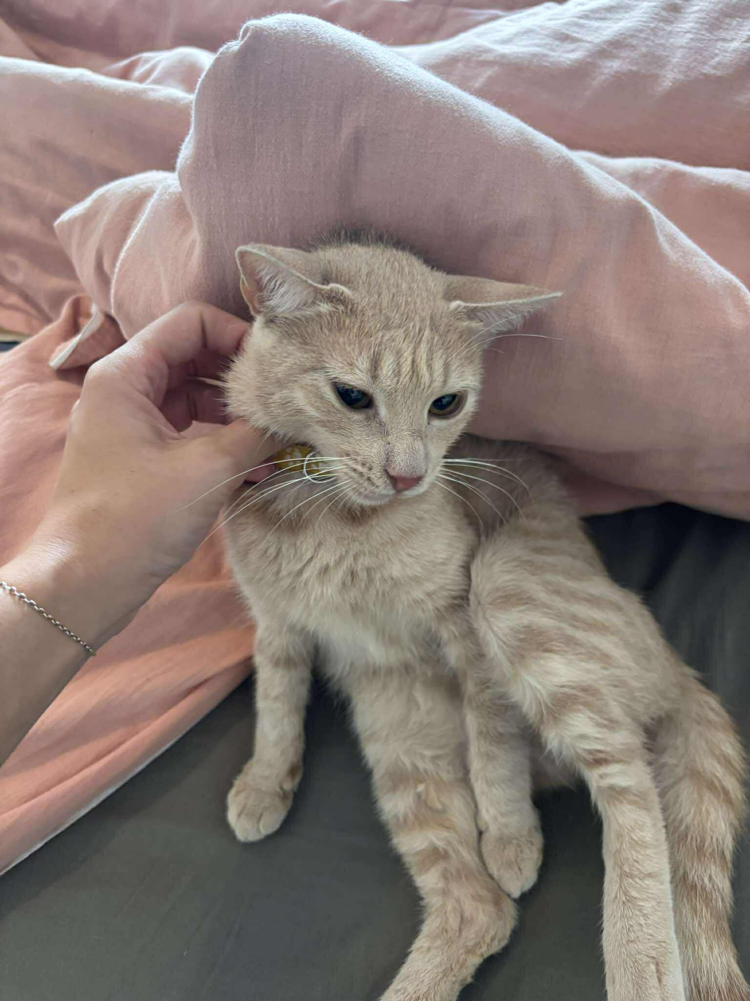 548330503_862734952743641_8696598257766301371_n