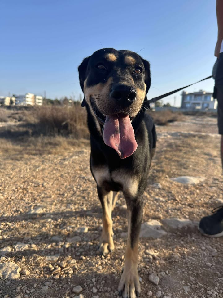 548662248_861959119487891_9015201529988837308_n-1