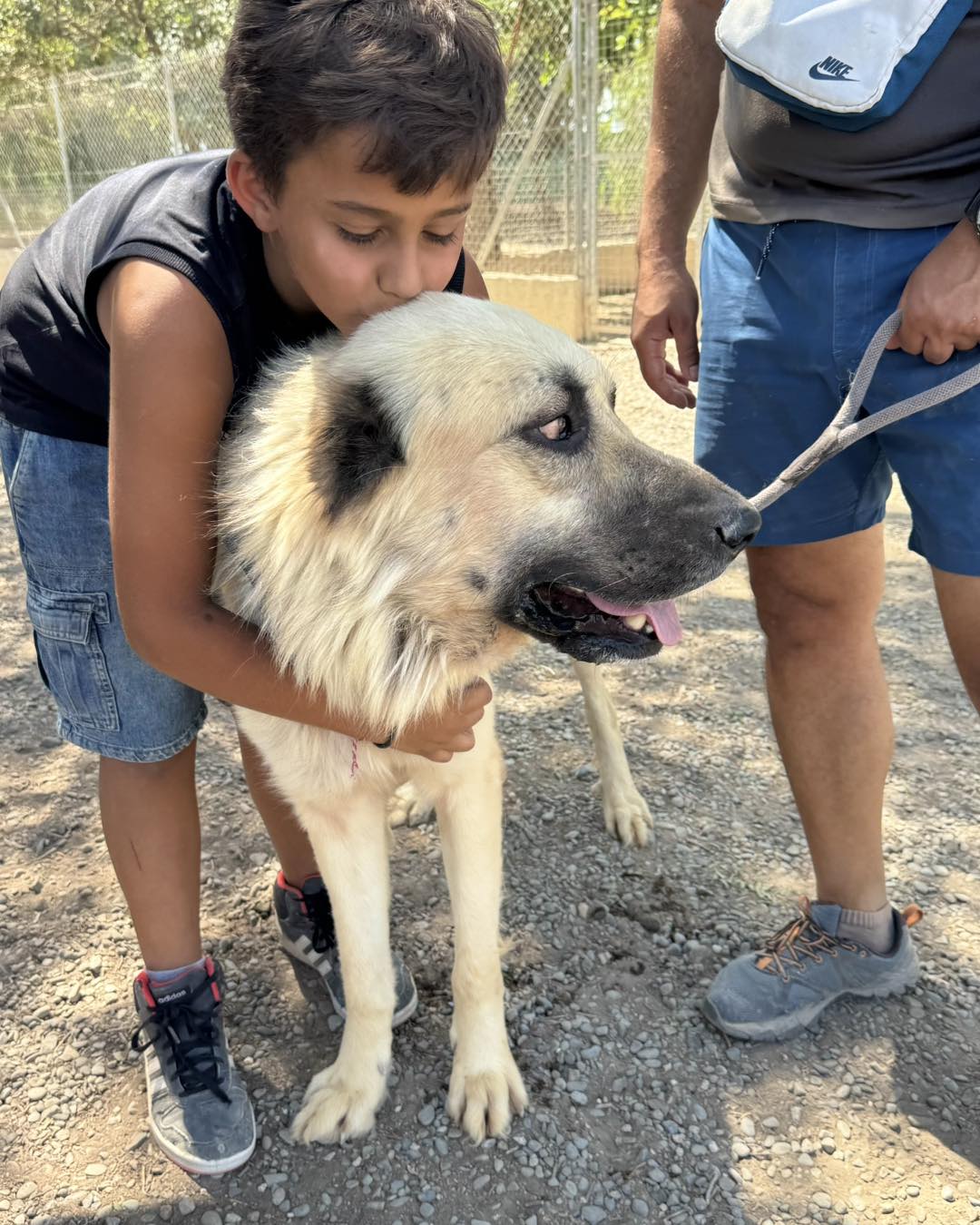 548828957_798231086053404_6021027863866710048_n