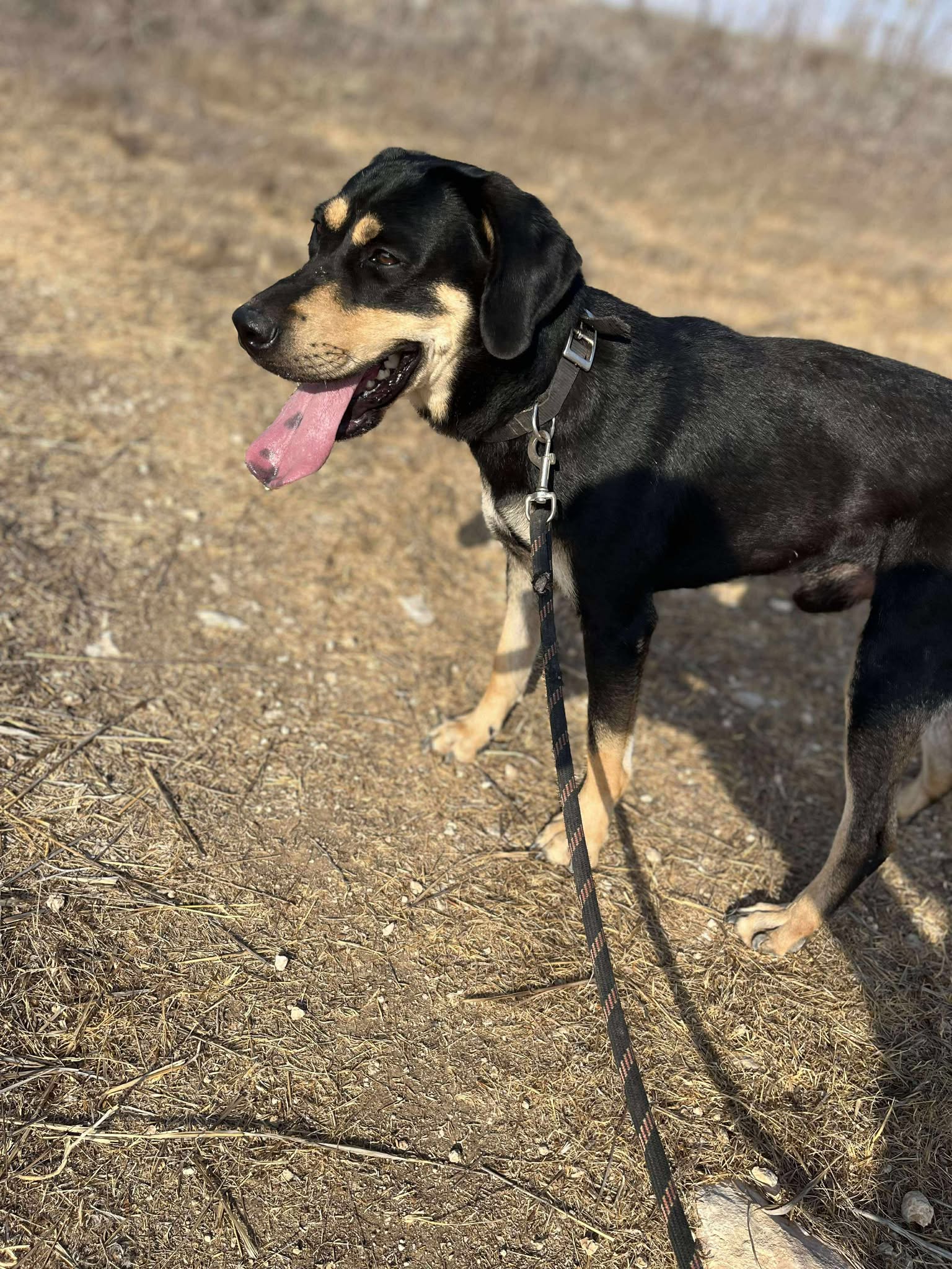 549653786_861959239487879_6721760171082000133_n