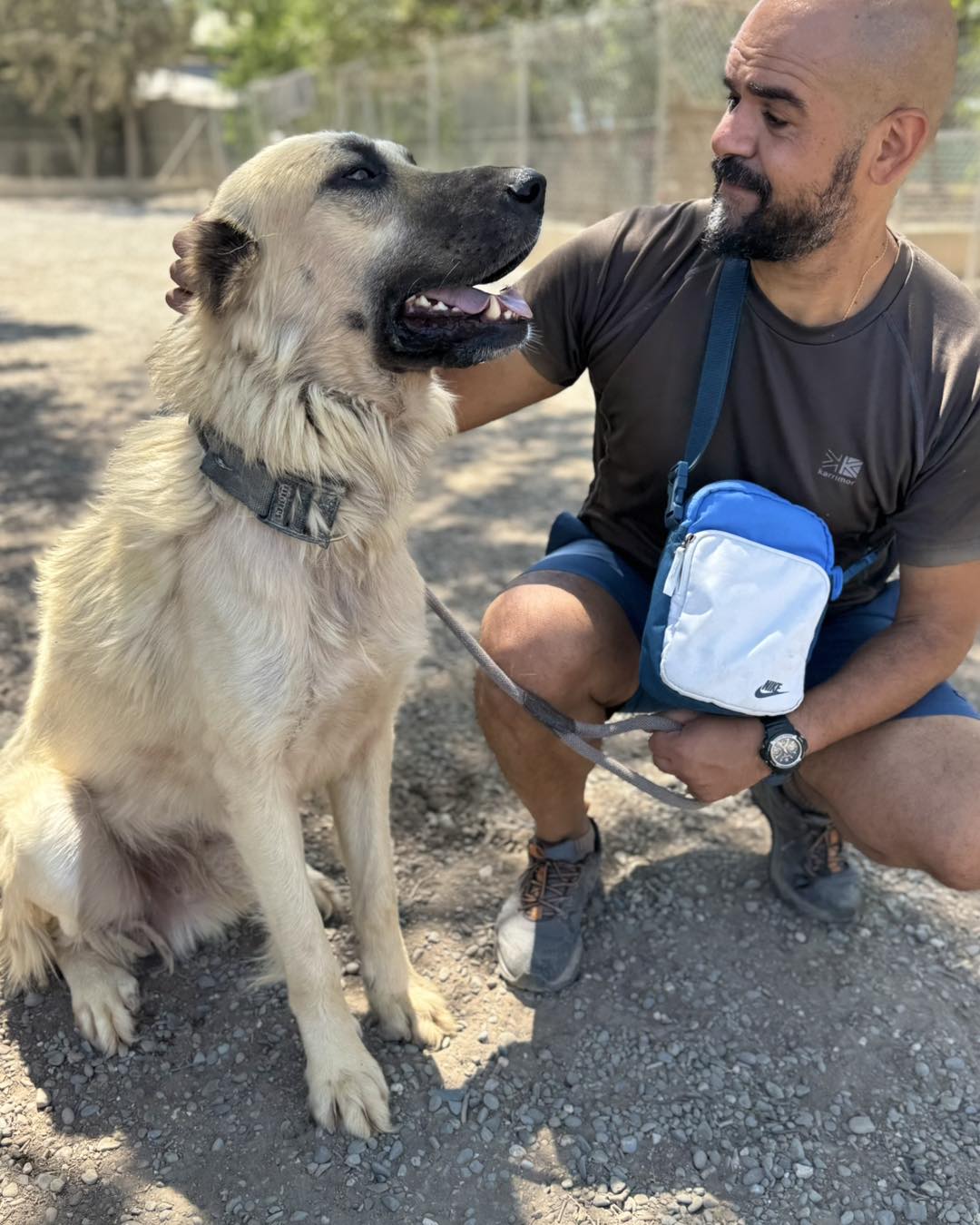 549788501_798231056053407_8041118531598090096_n