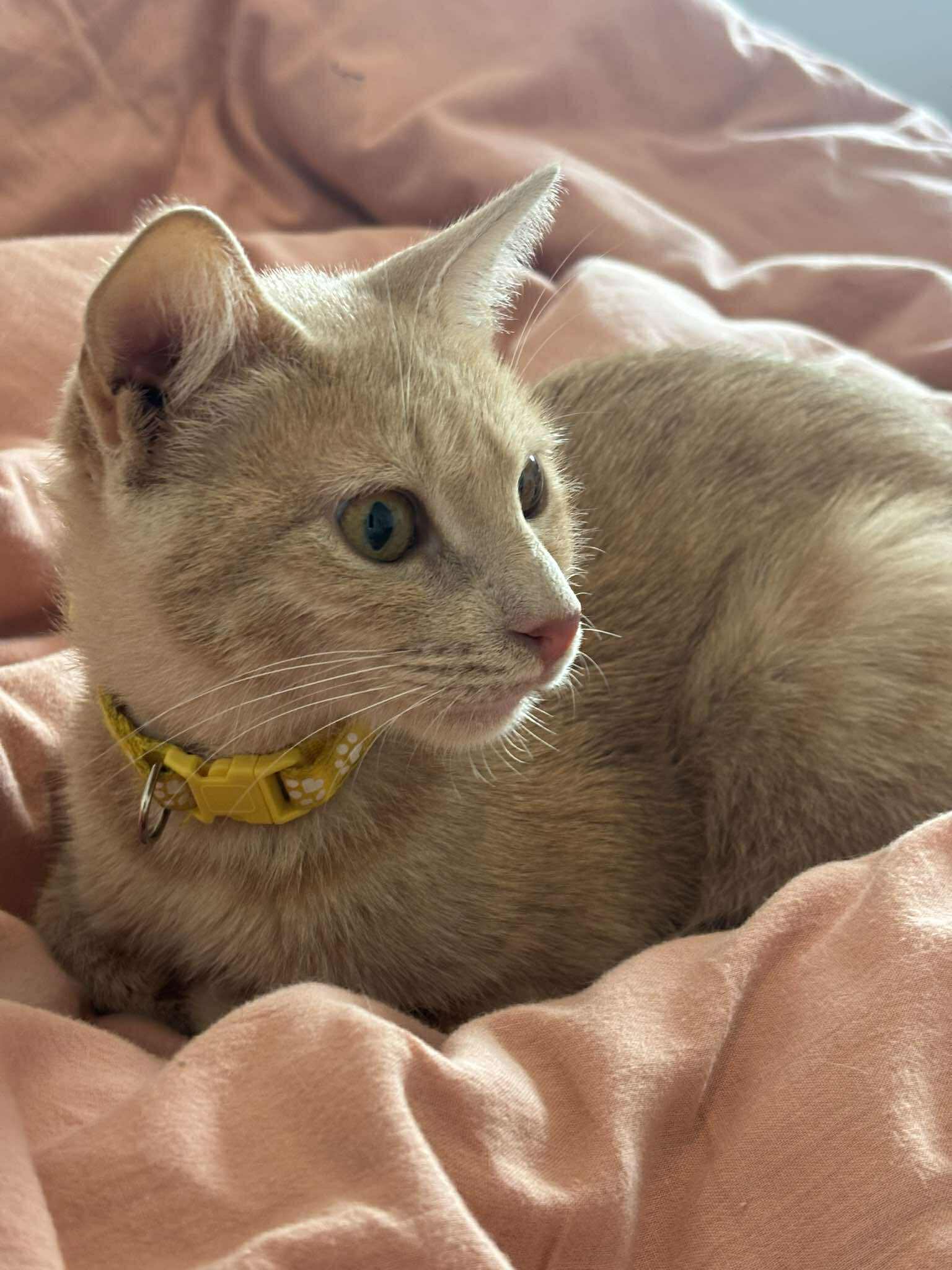 550158027_862734826076987_6815504835176872236_n