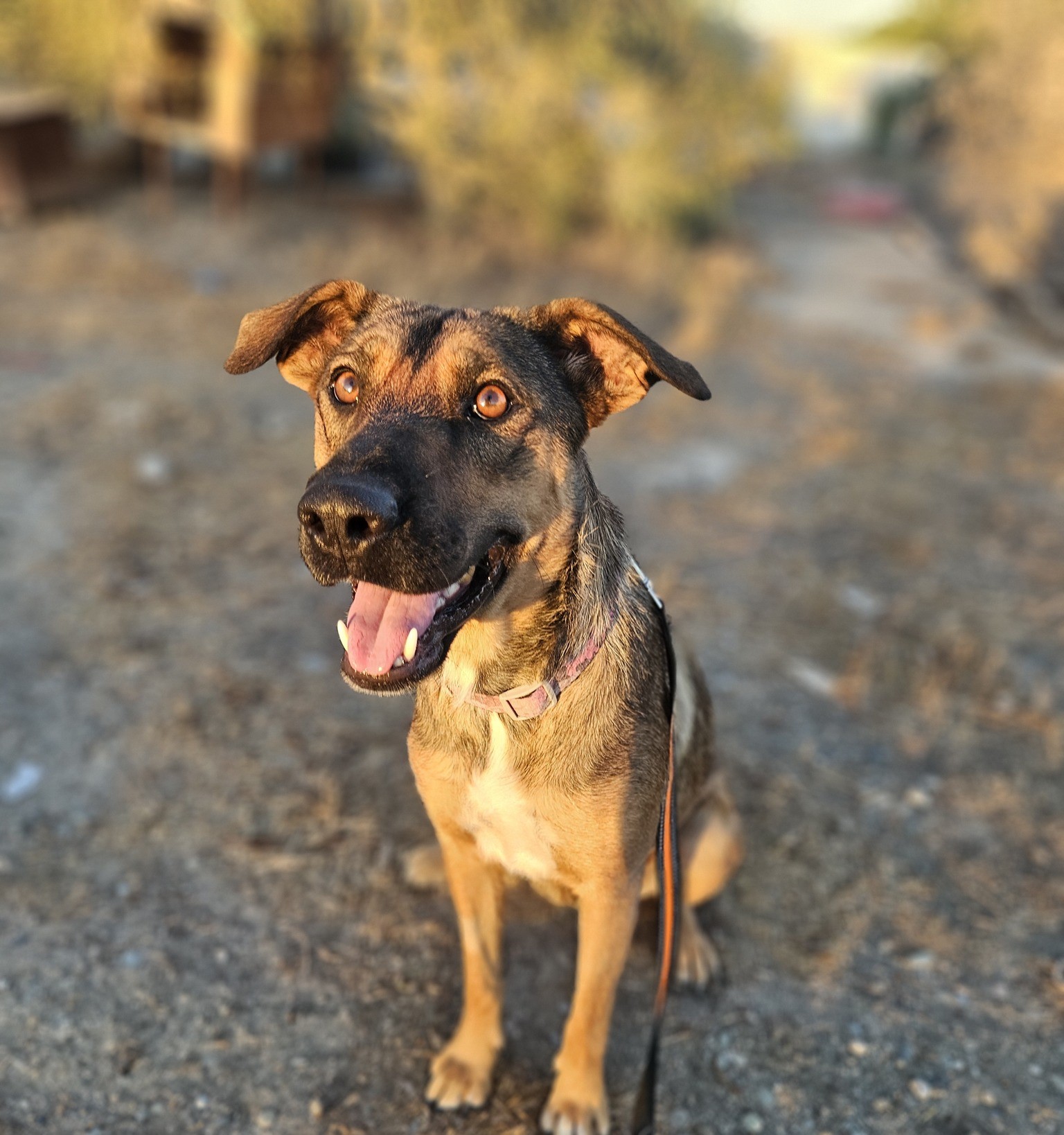 555419613_1222910113211305_564489259661258991_n