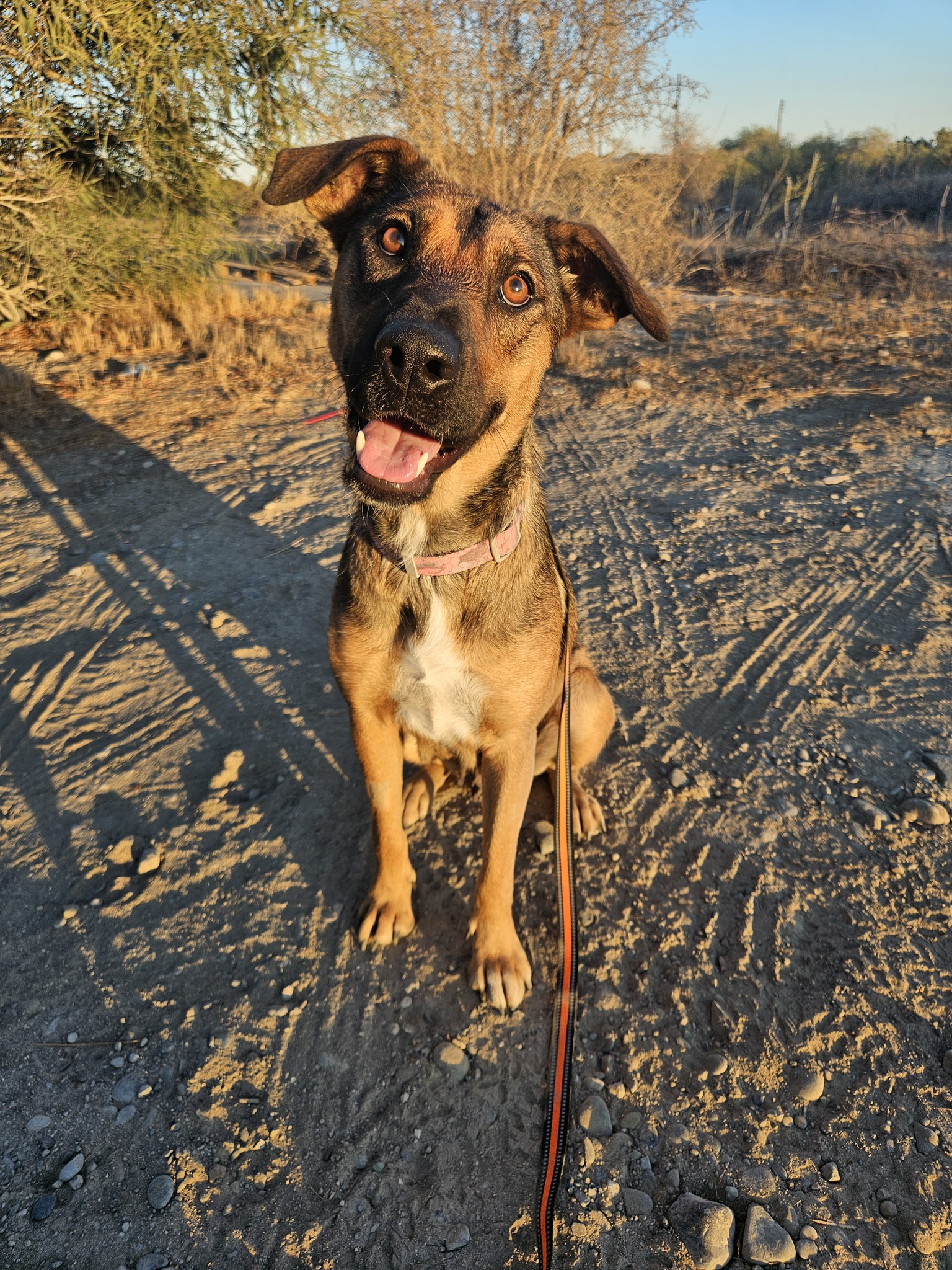 555444112_1222910076544642_6155187840290524223_n