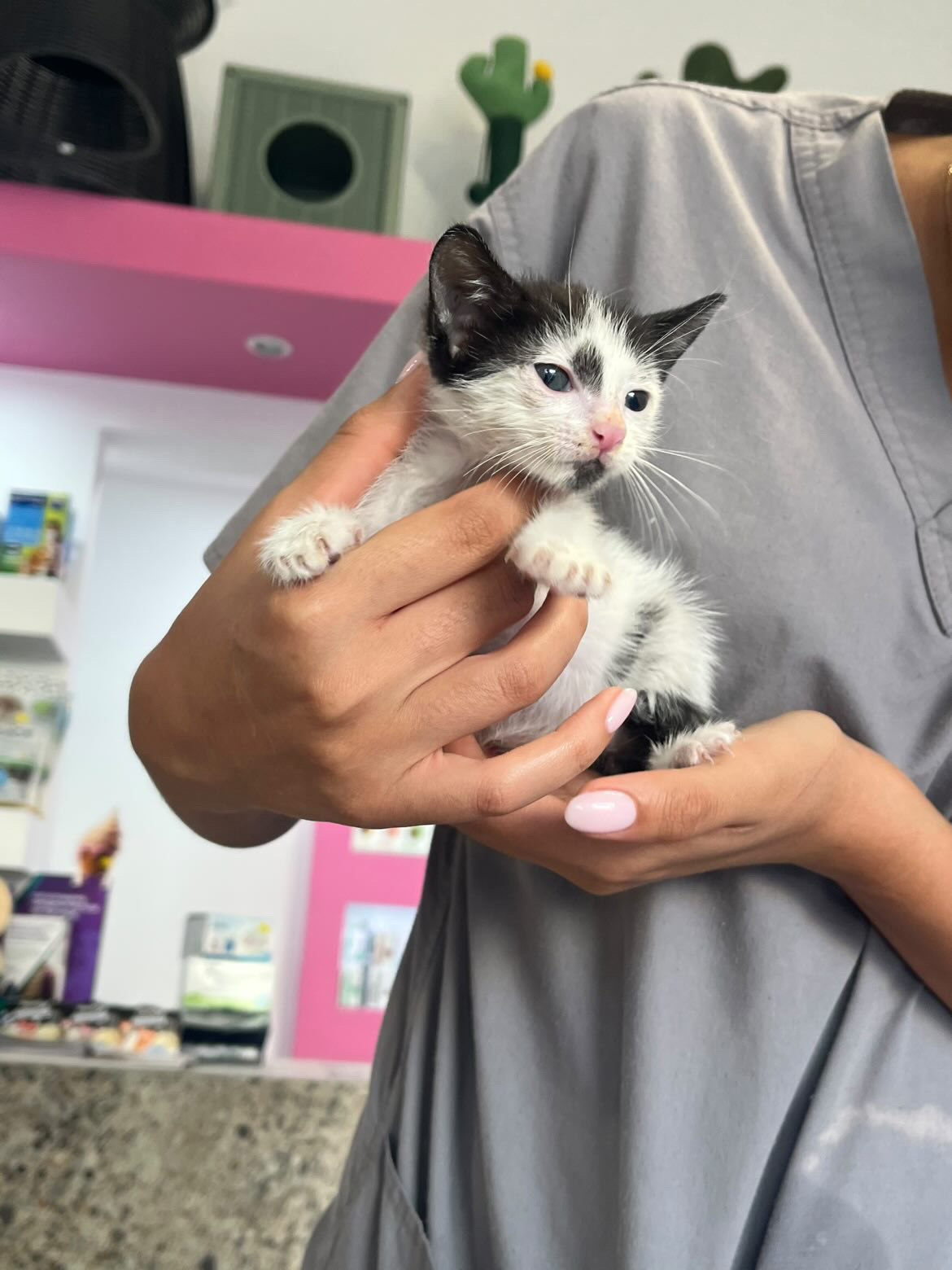 878F8860-BBFB-4083-AE29-1DE0125DF5B0