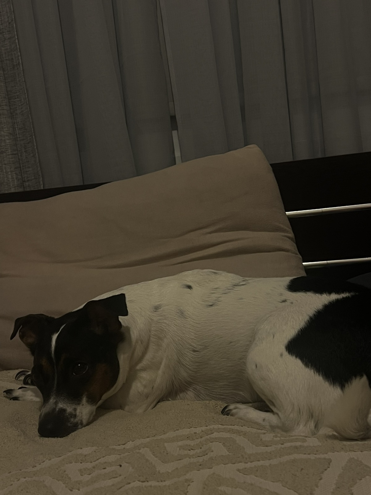 IMG-a0ebf05c2e73f785c27f66afa72ea439-V