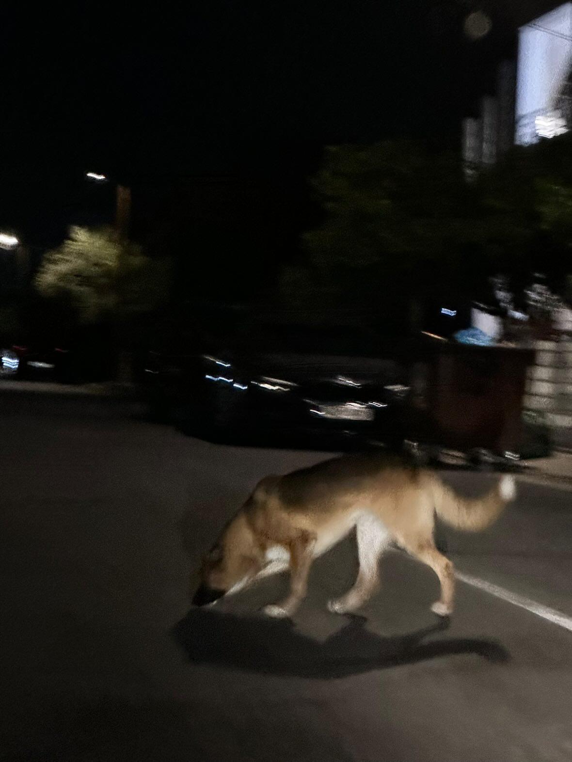 IMG_20250909_231411_964