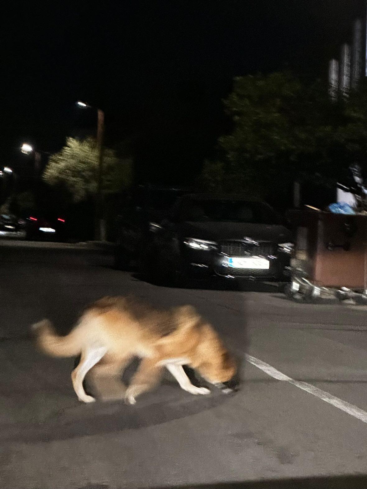 IMG_20250909_231415_447