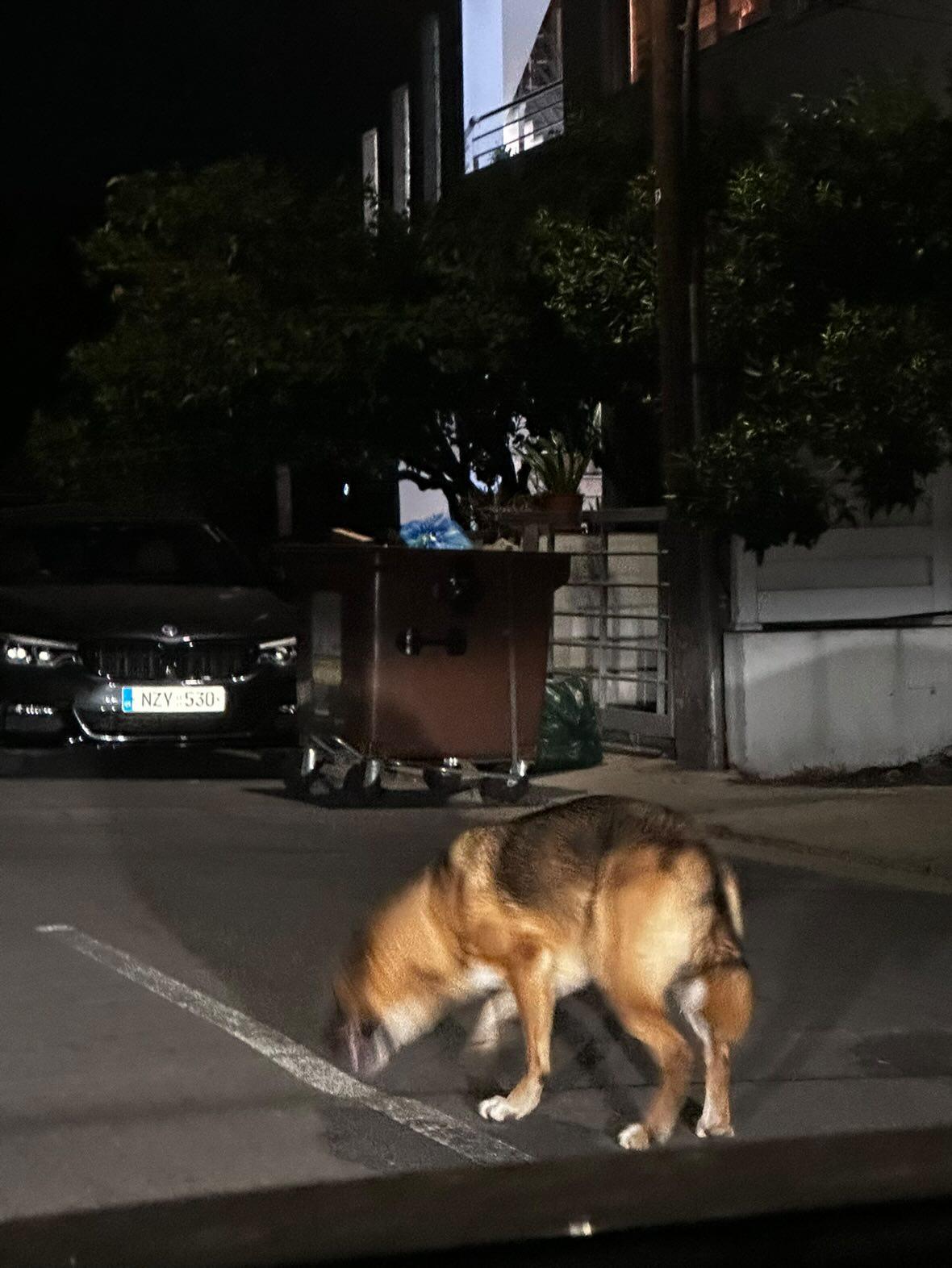 IMG_20250909_231417_421