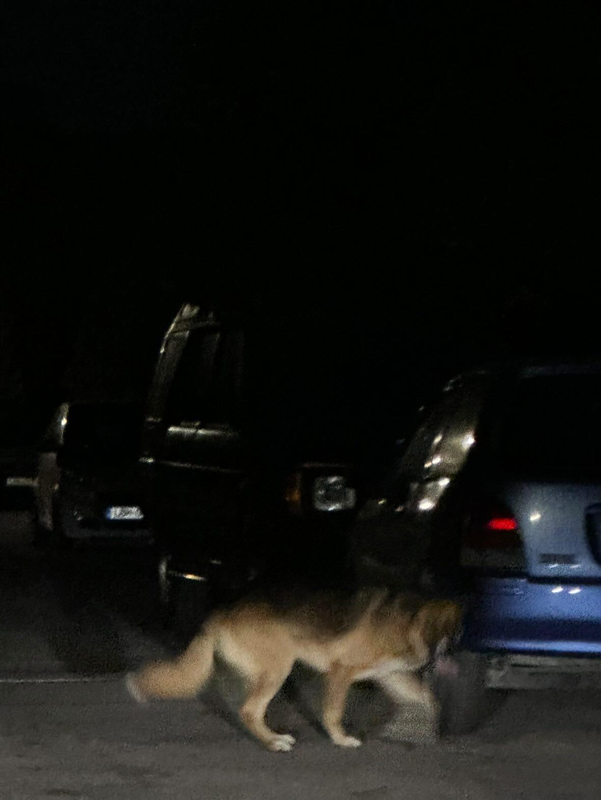 IMG_20250909_231424_941