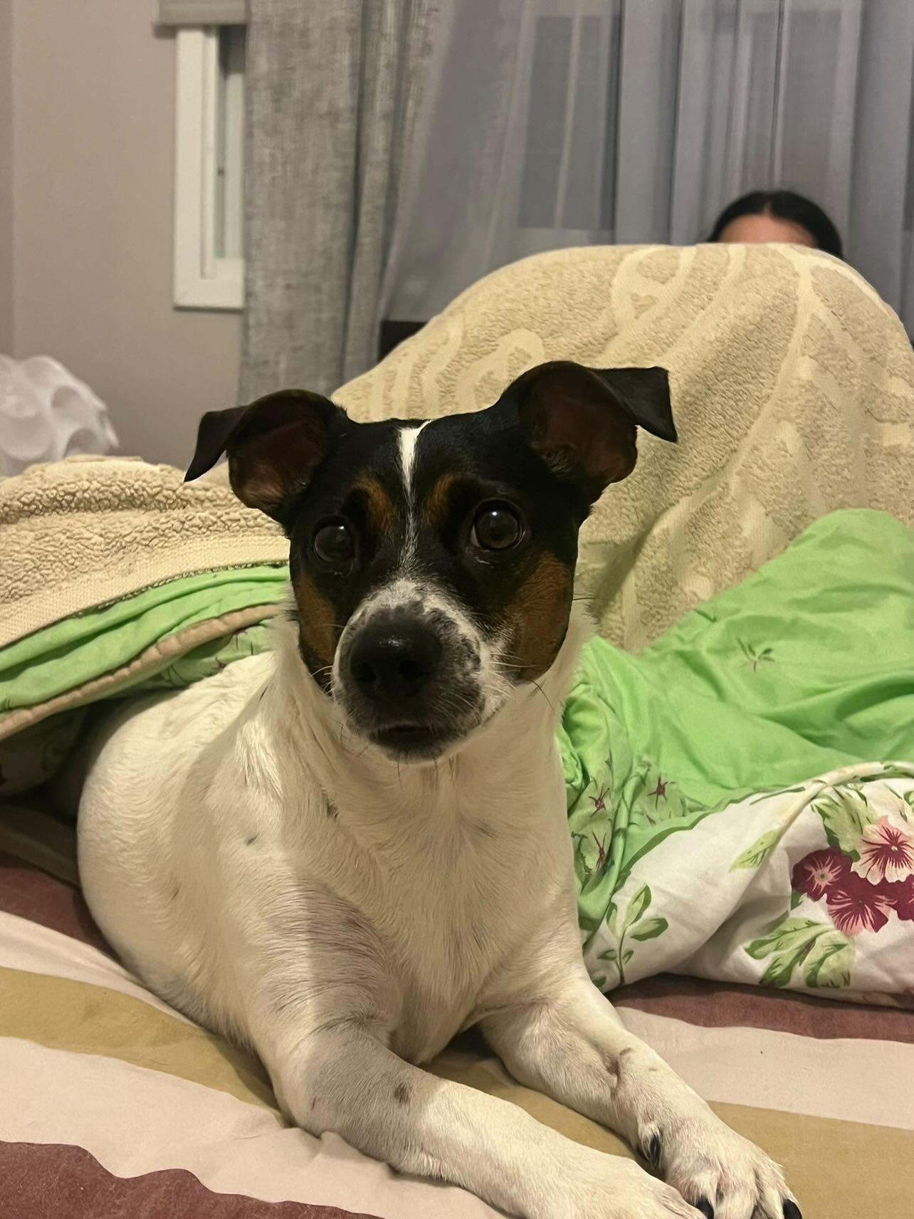 IMG_20250919_151644_518