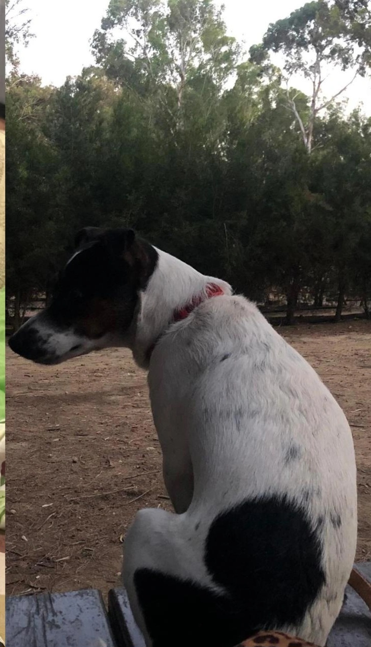 IMG_20250919_152427_206