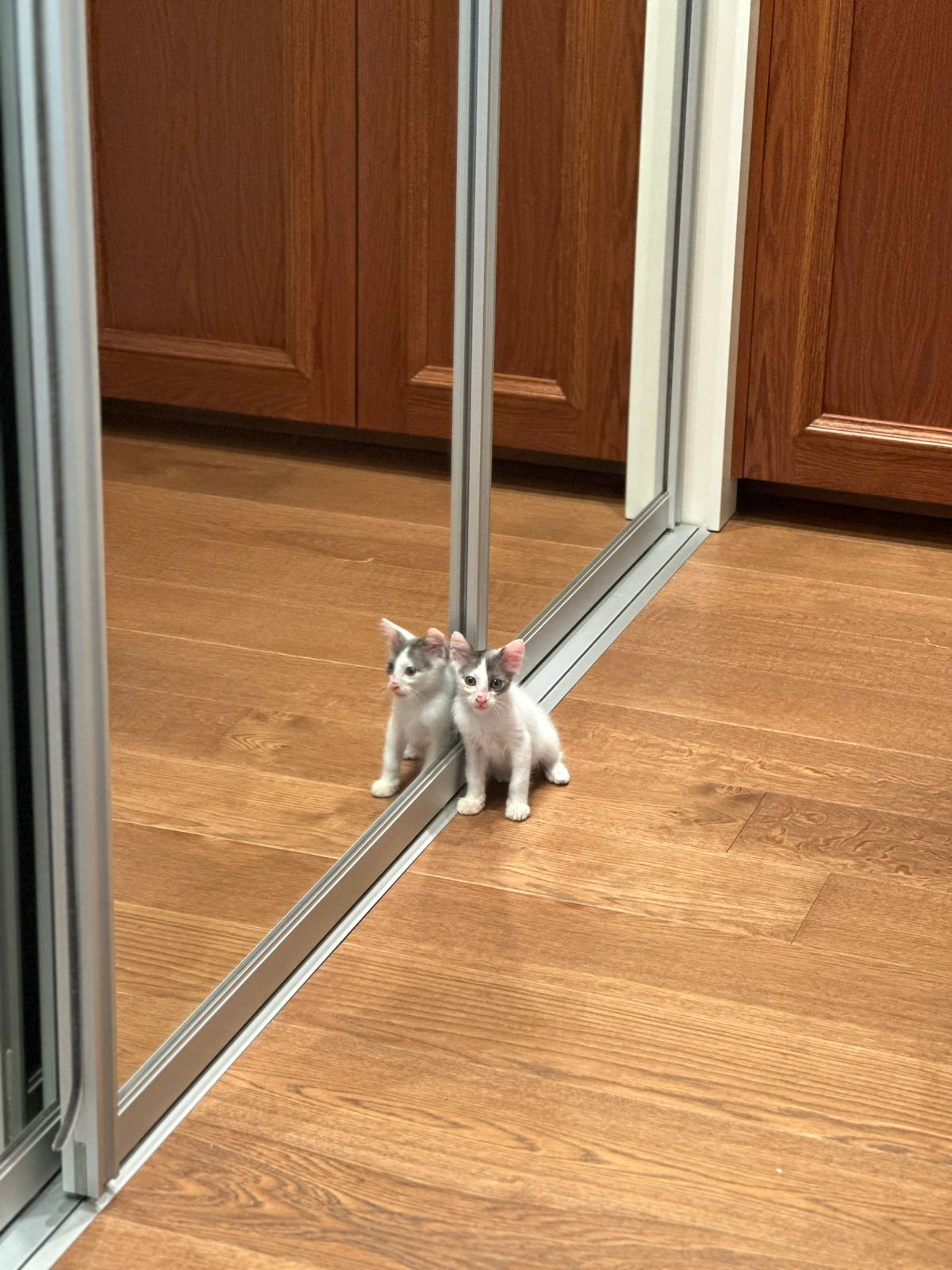 WhatsApp-Image-2025-09-24-at-18.45.23