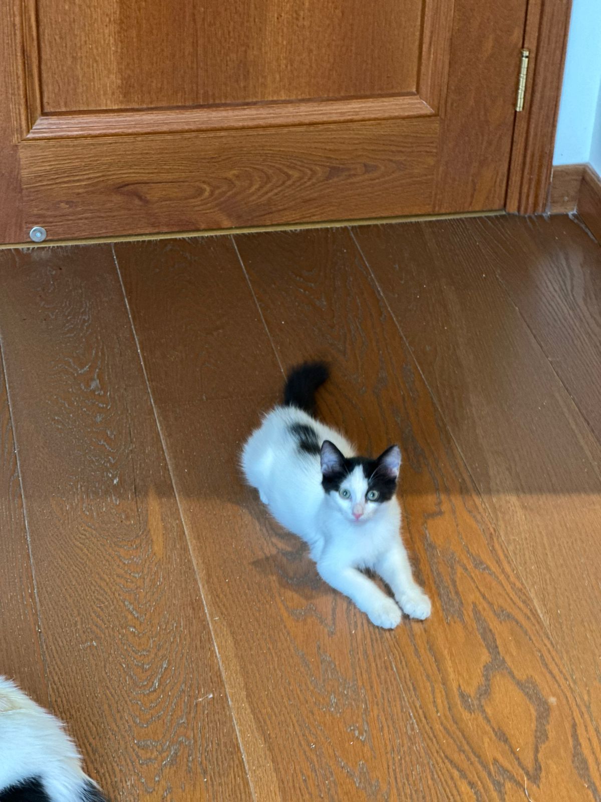 WhatsApp-Image-2025-09-24-at-18.45.26-1