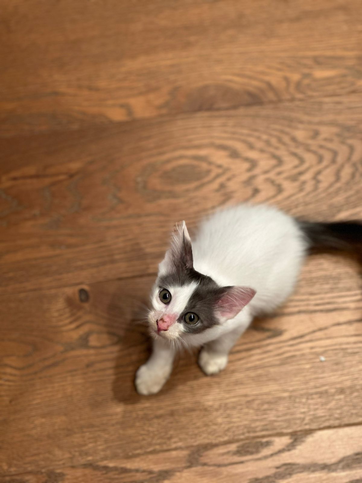 WhatsApp-Image-2025-09-24-at-18.45.26-2