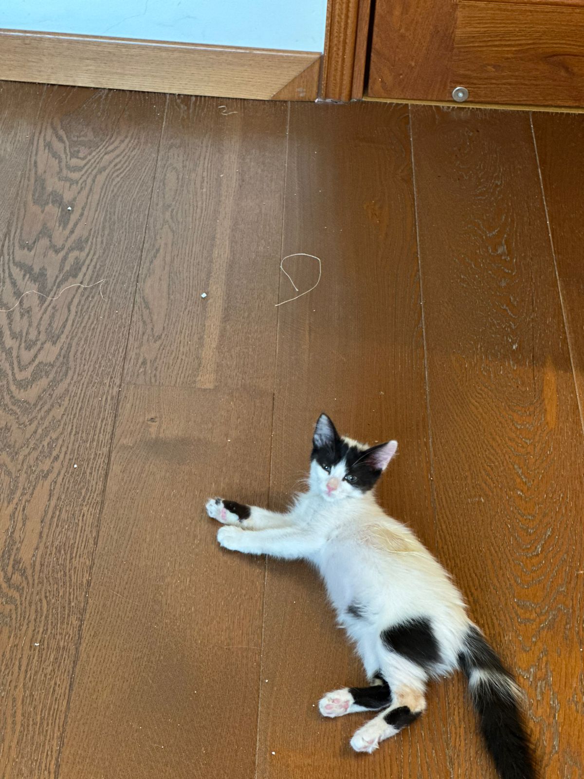 WhatsApp-Image-2025-09-24-at-18.45.26