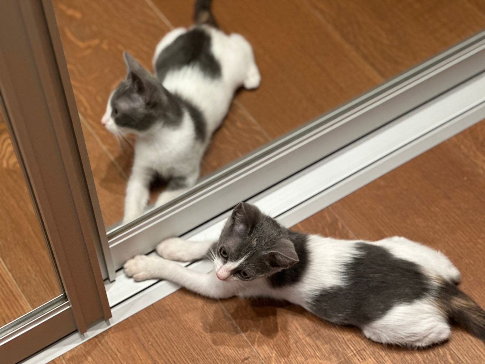 WhatsApp-Image-2025-09-24-at-18.45.27