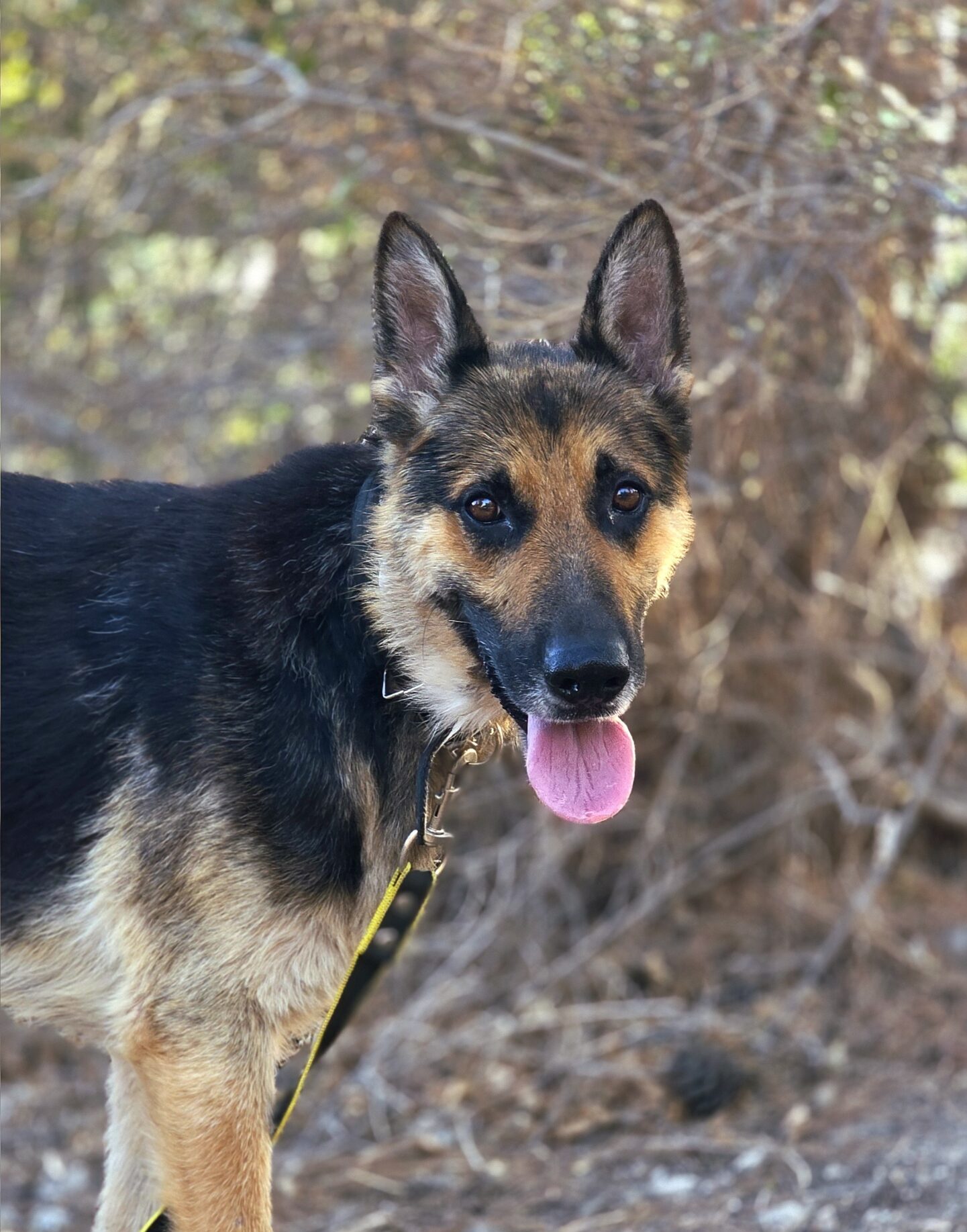 20250621_18374101-scaled-e1759994914651