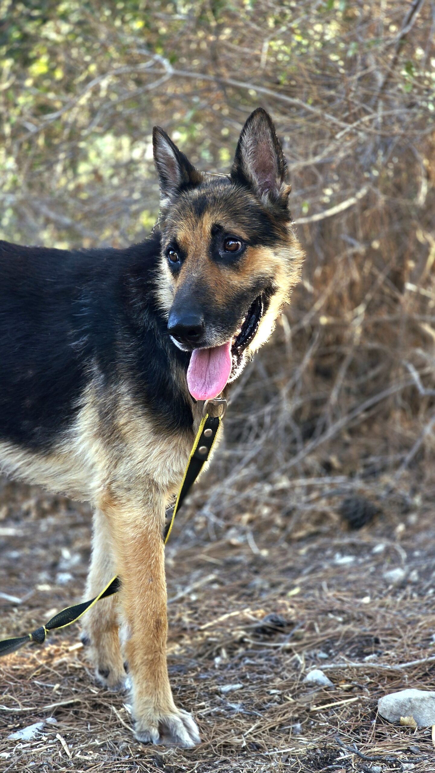 20250621_1837421-scaled-1