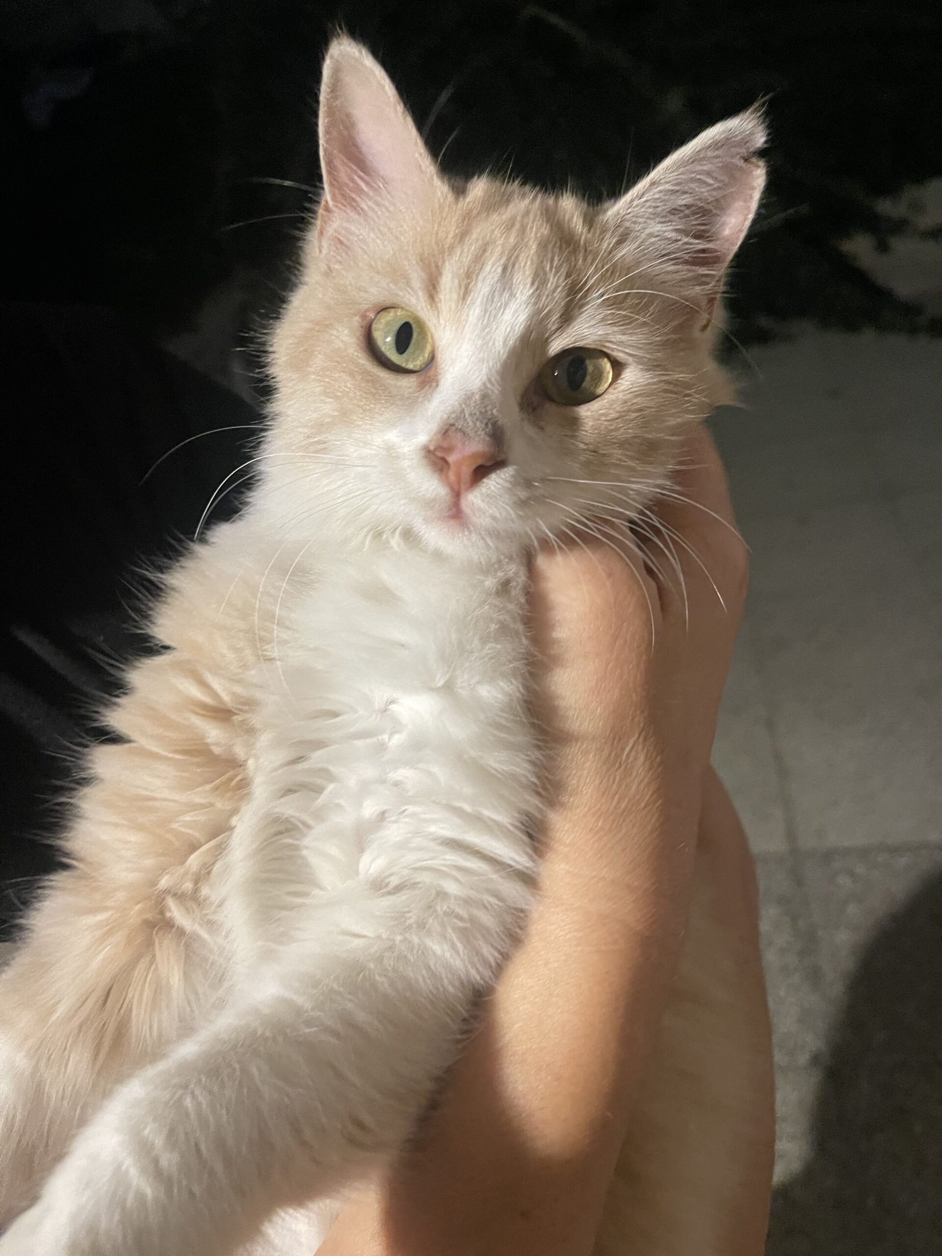 4D703647-89C3-43B5-9998-ADAAAB99BF3E