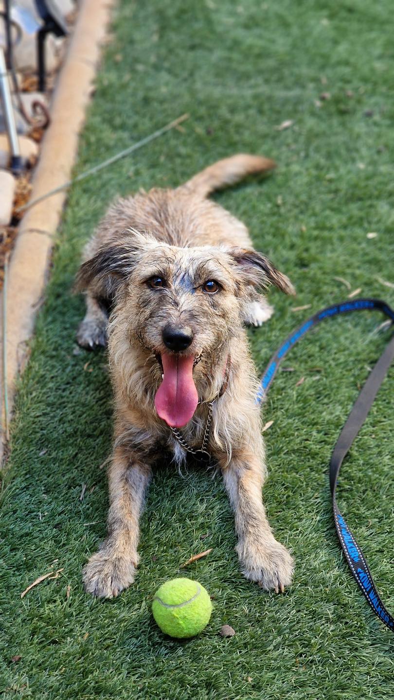 547991449_122151539144771468_3046646573650969583_n