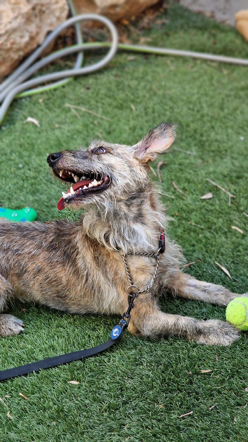 548025115_122151539168771468_2175327297590487107_n