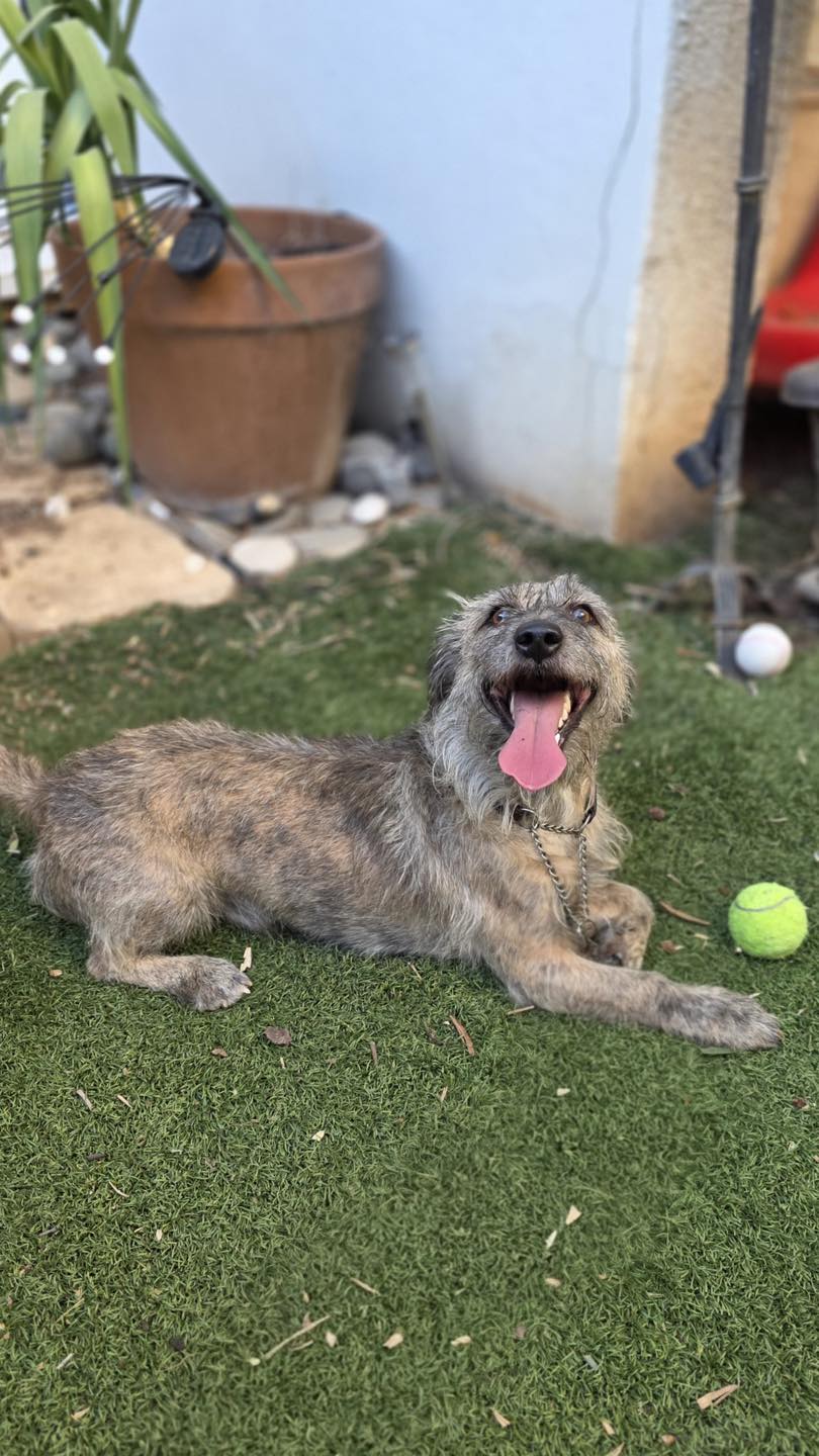 548585907_122151539174771468_5460062269542179315_n