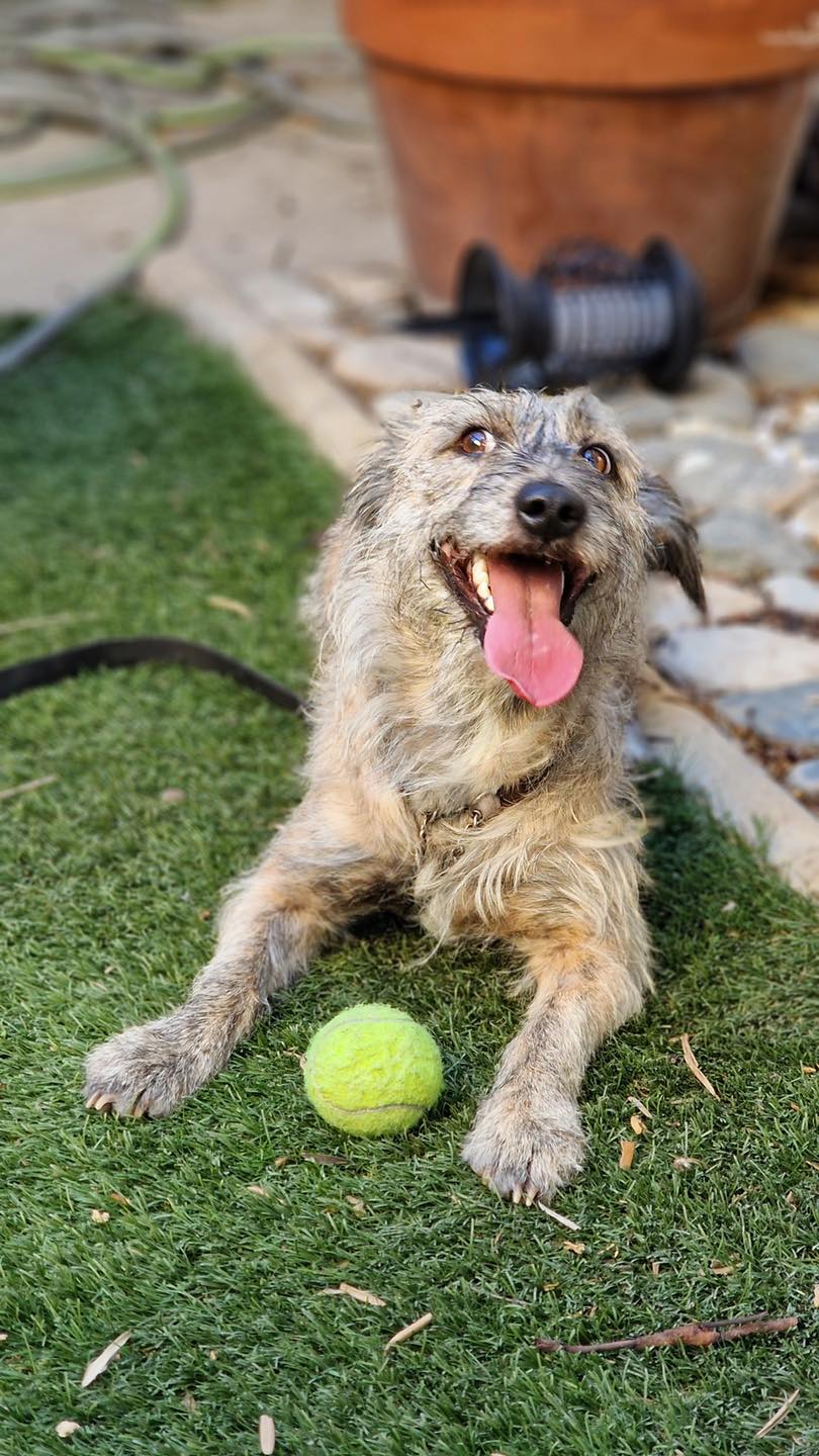 549773913_122151539150771468_6683985208477114103_n