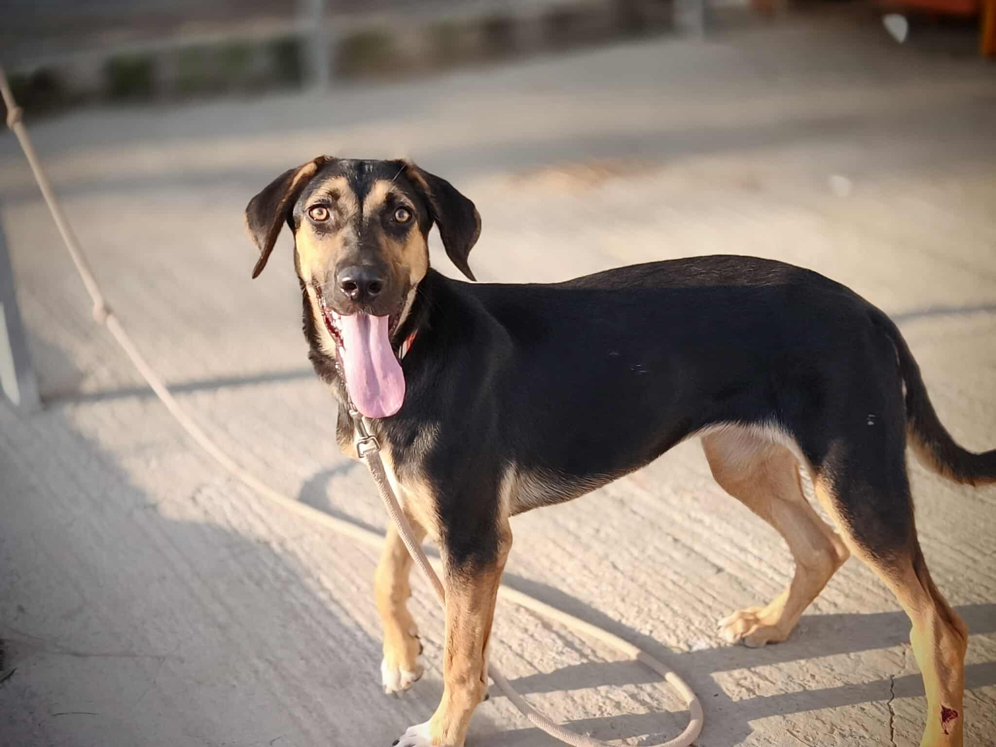 553236889_1223664959802487_1744449892441545510_n