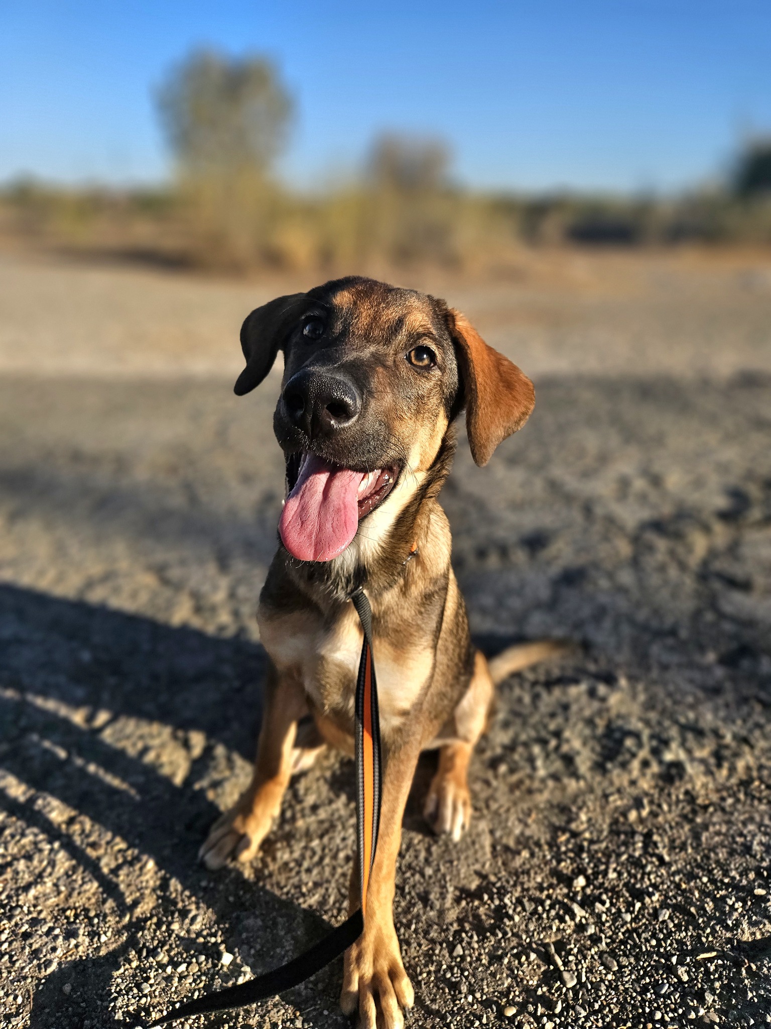 554856611_1222978829871100_360657334597126164_n