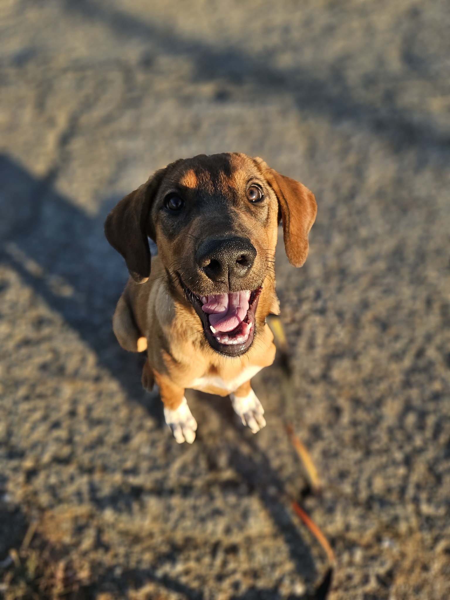 555042317_1222964776539172_4050766901573390357_n