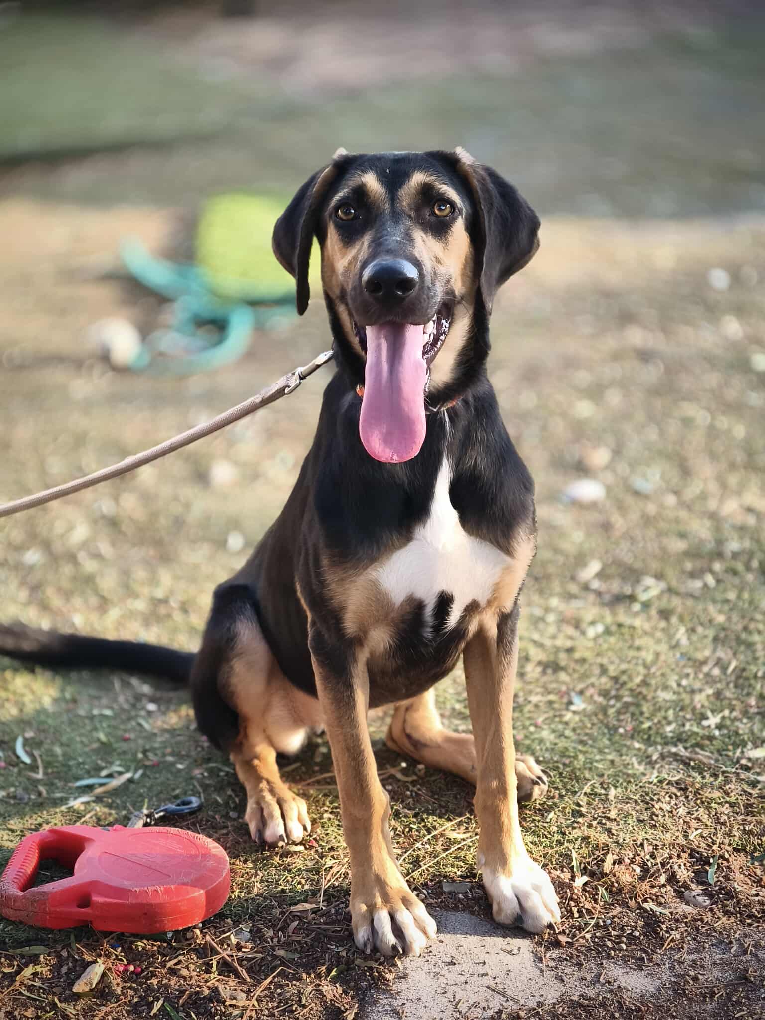 555458986_1223664956469154_7736320684762055539_n