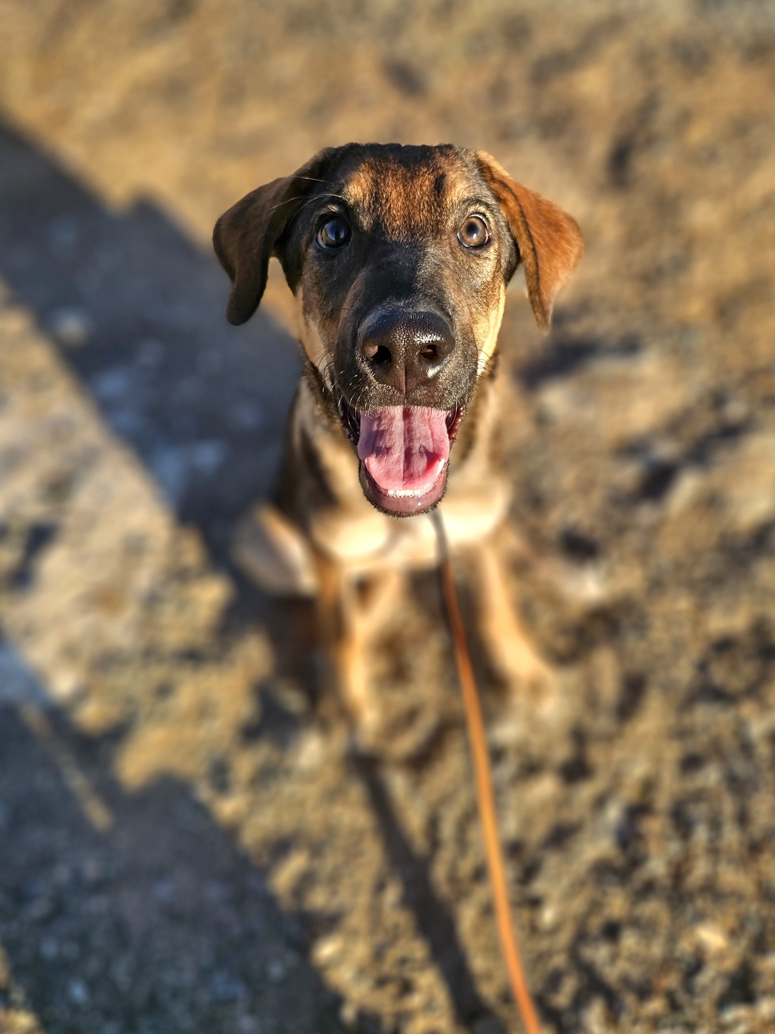 555536584_1222978779871105_776813519100279542_n