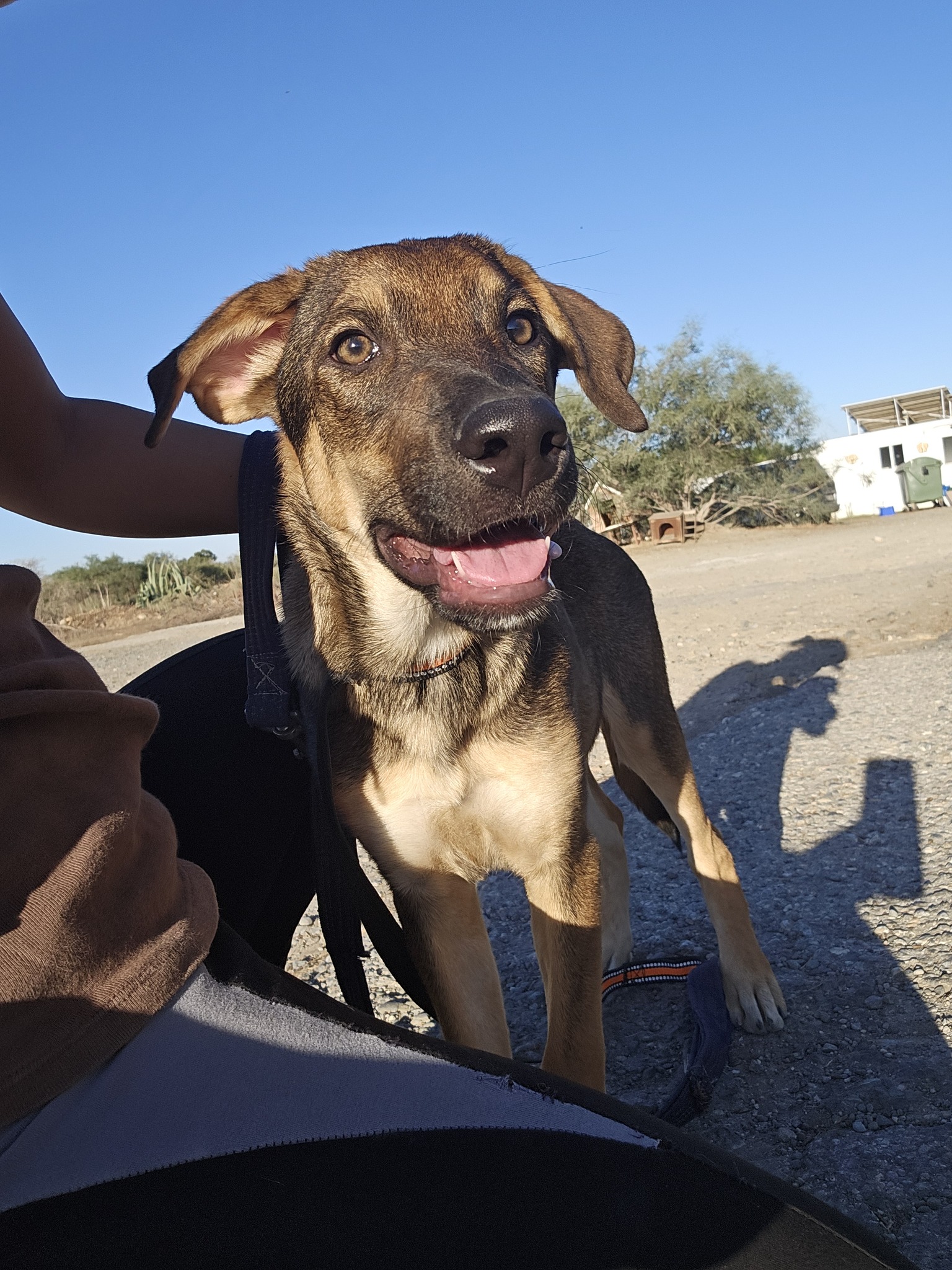 555557324_1222978813204435_5887923845501061053_n